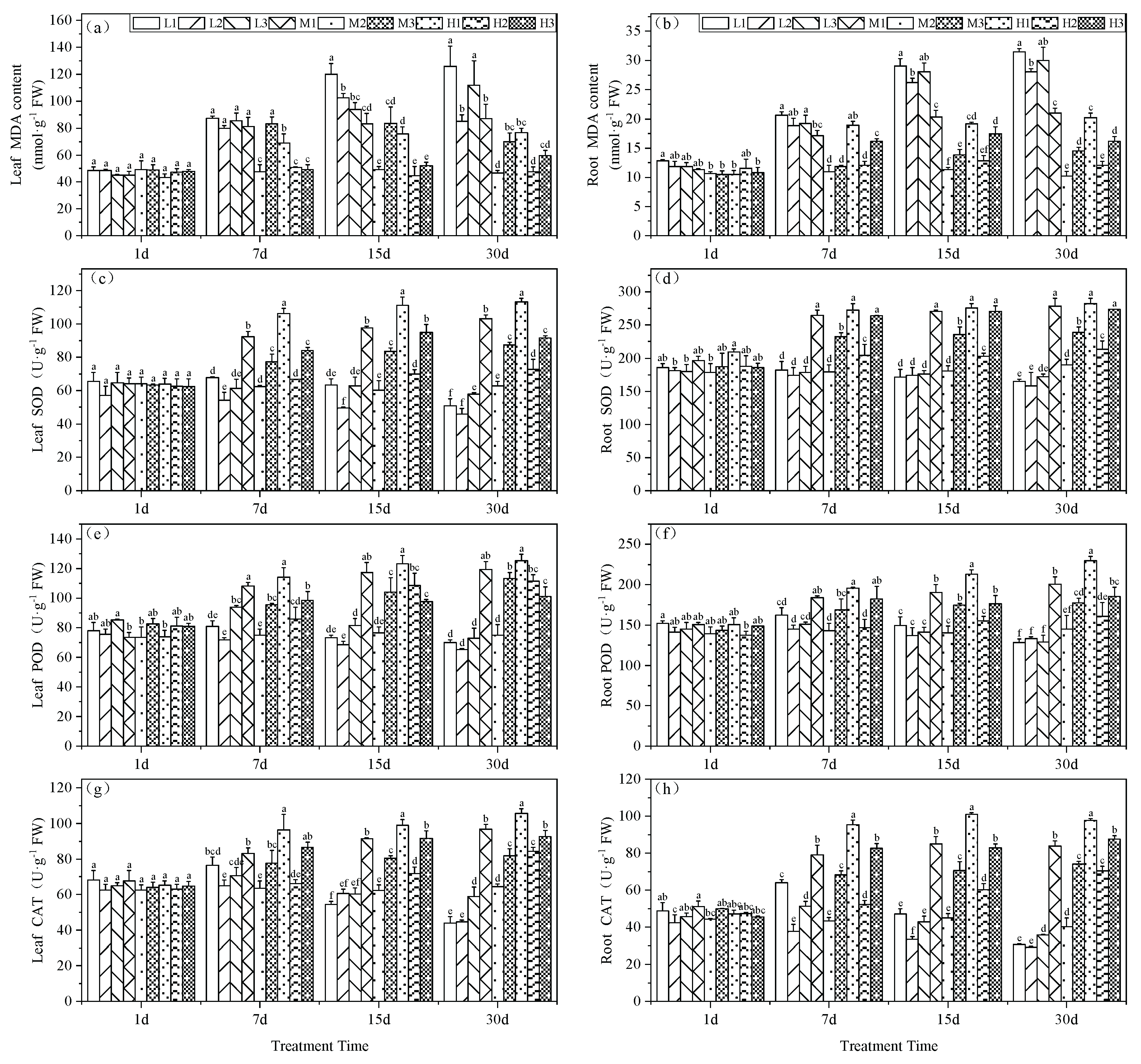 Preprints 101411 g002