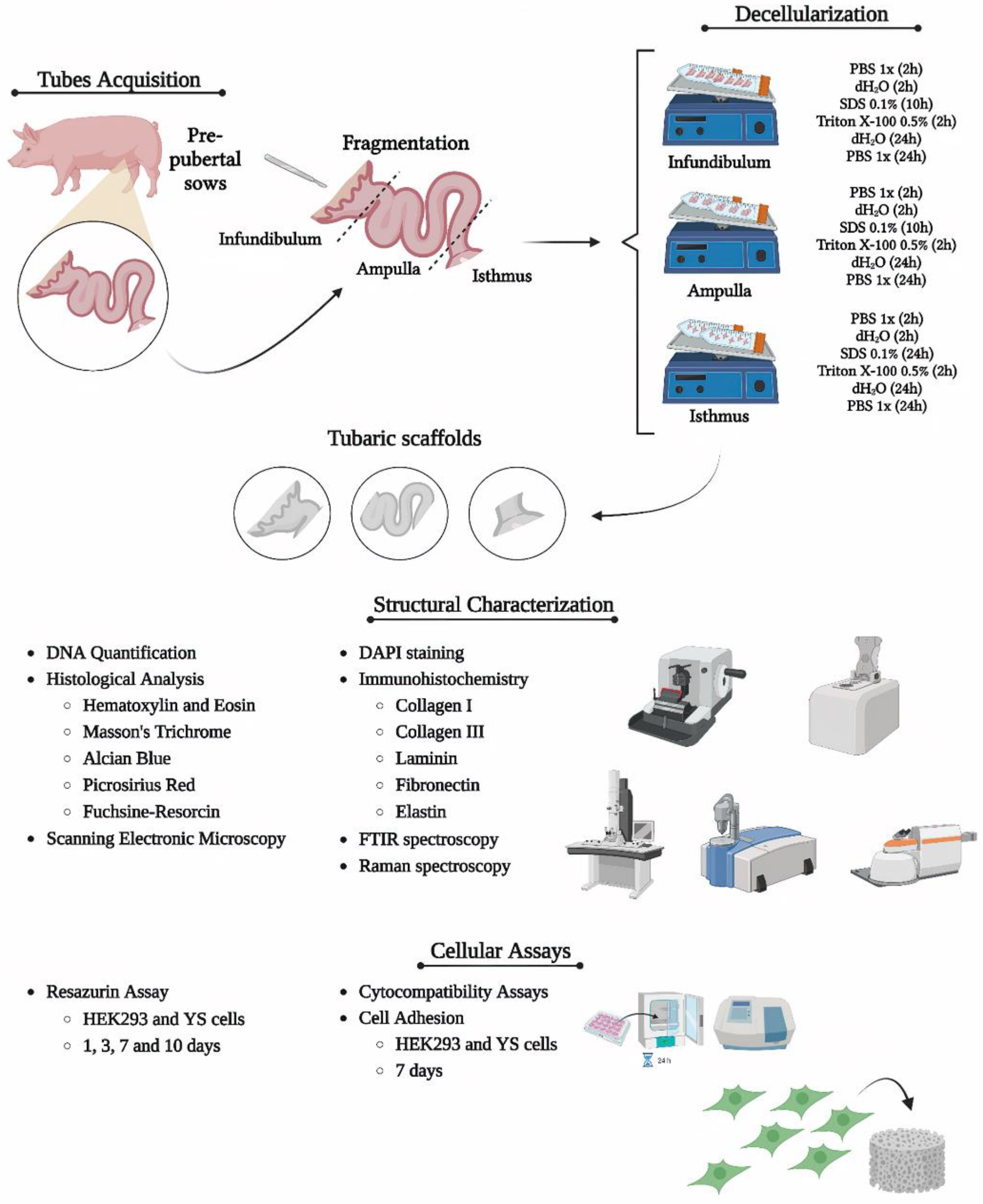 Preprints 107349 g001