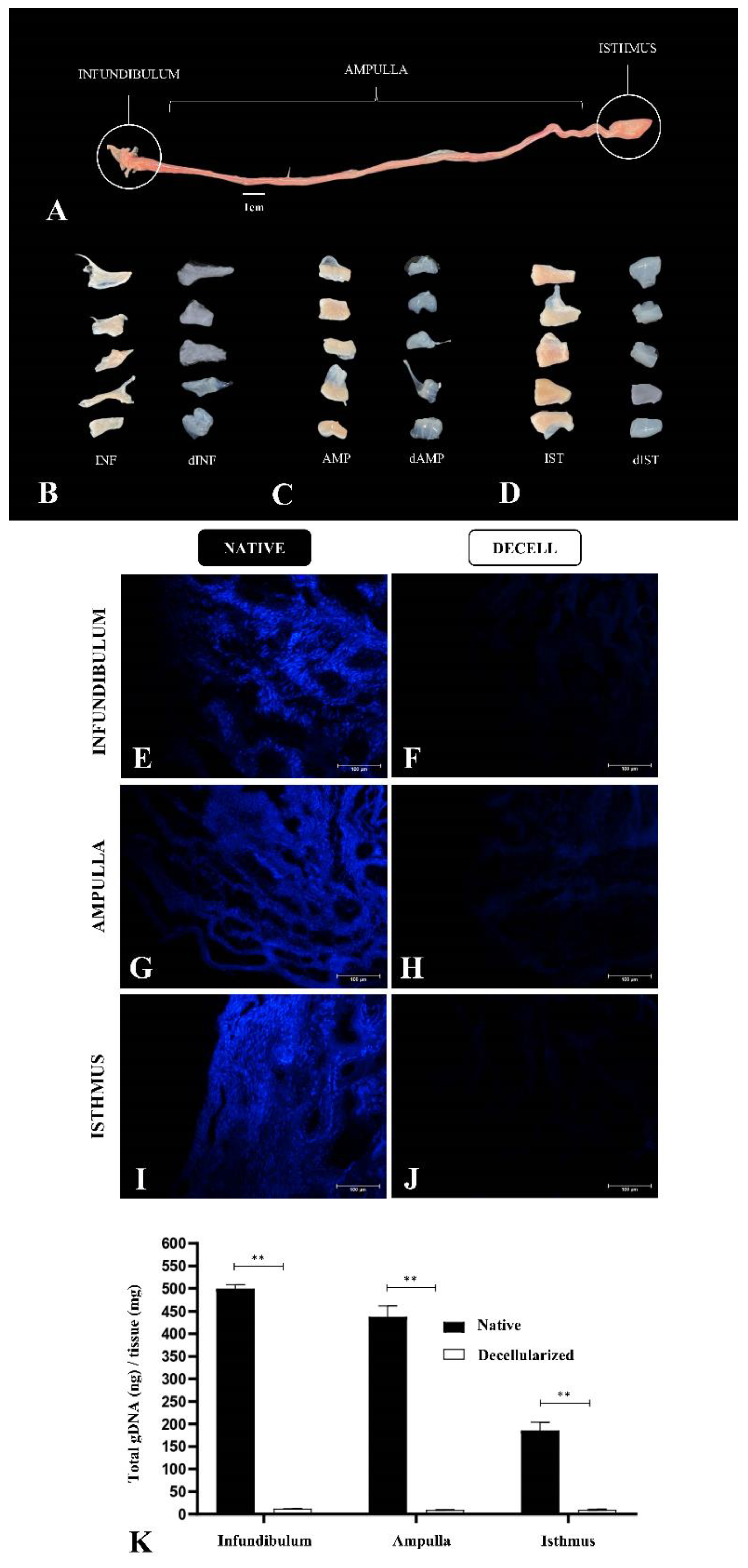 Preprints 107349 g002