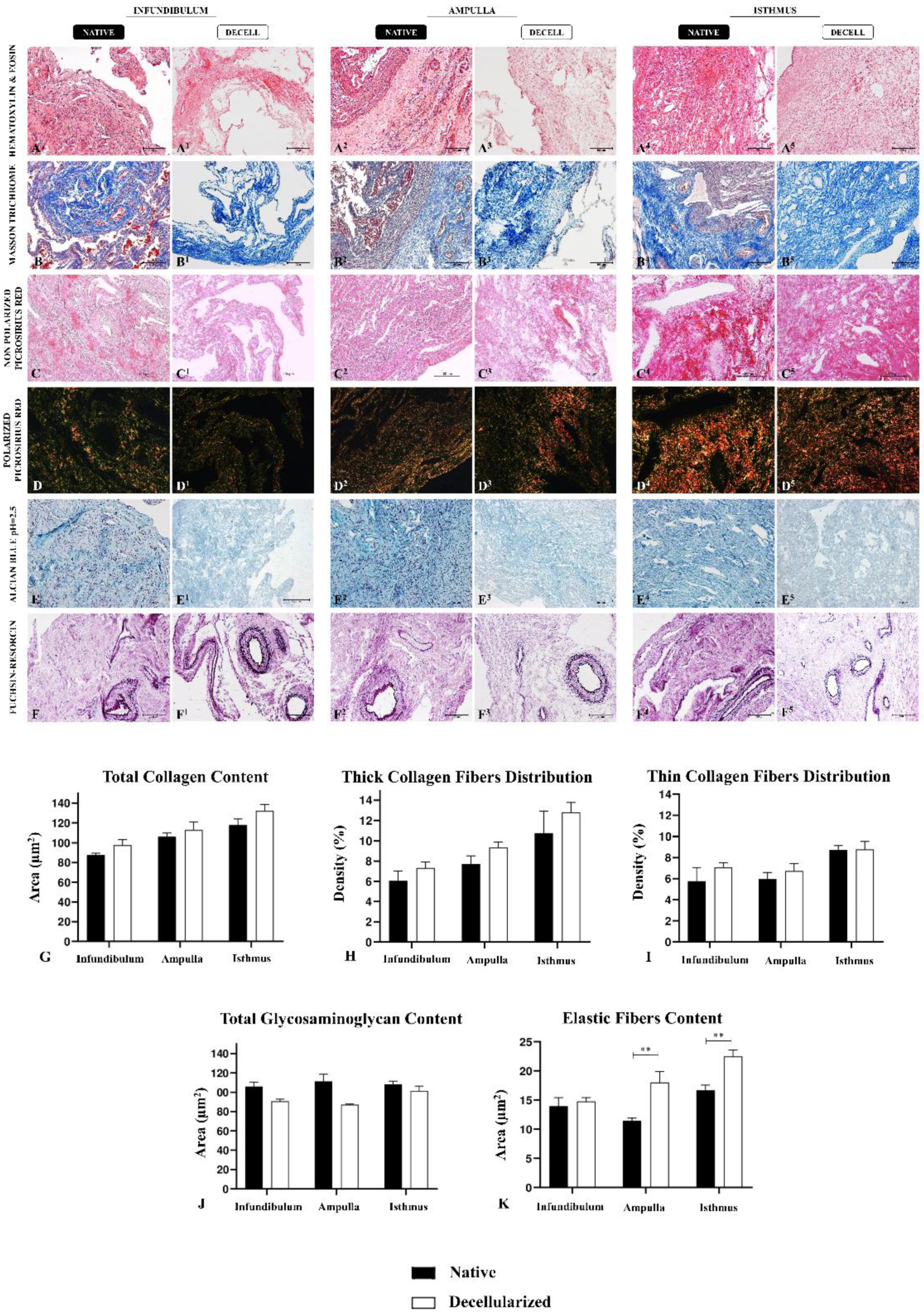 Preprints 107349 g003