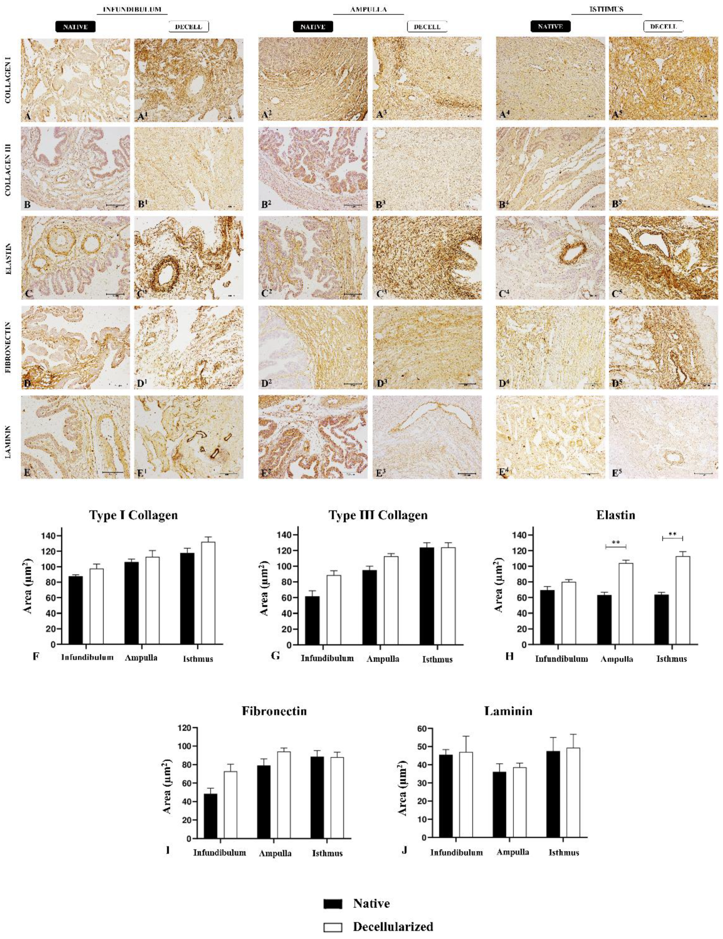 Preprints 107349 g004