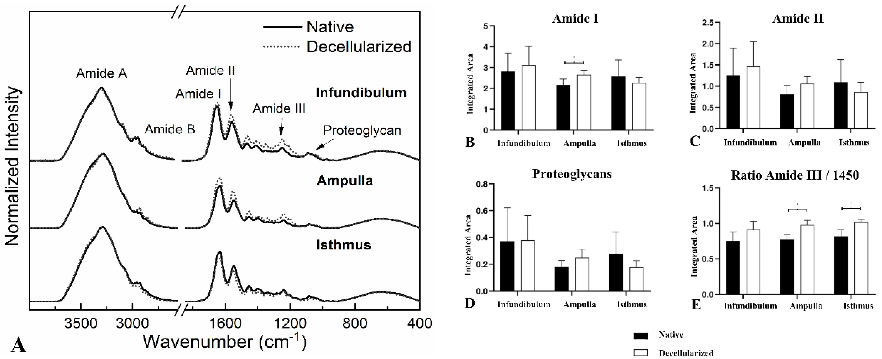 Preprints 107349 g006