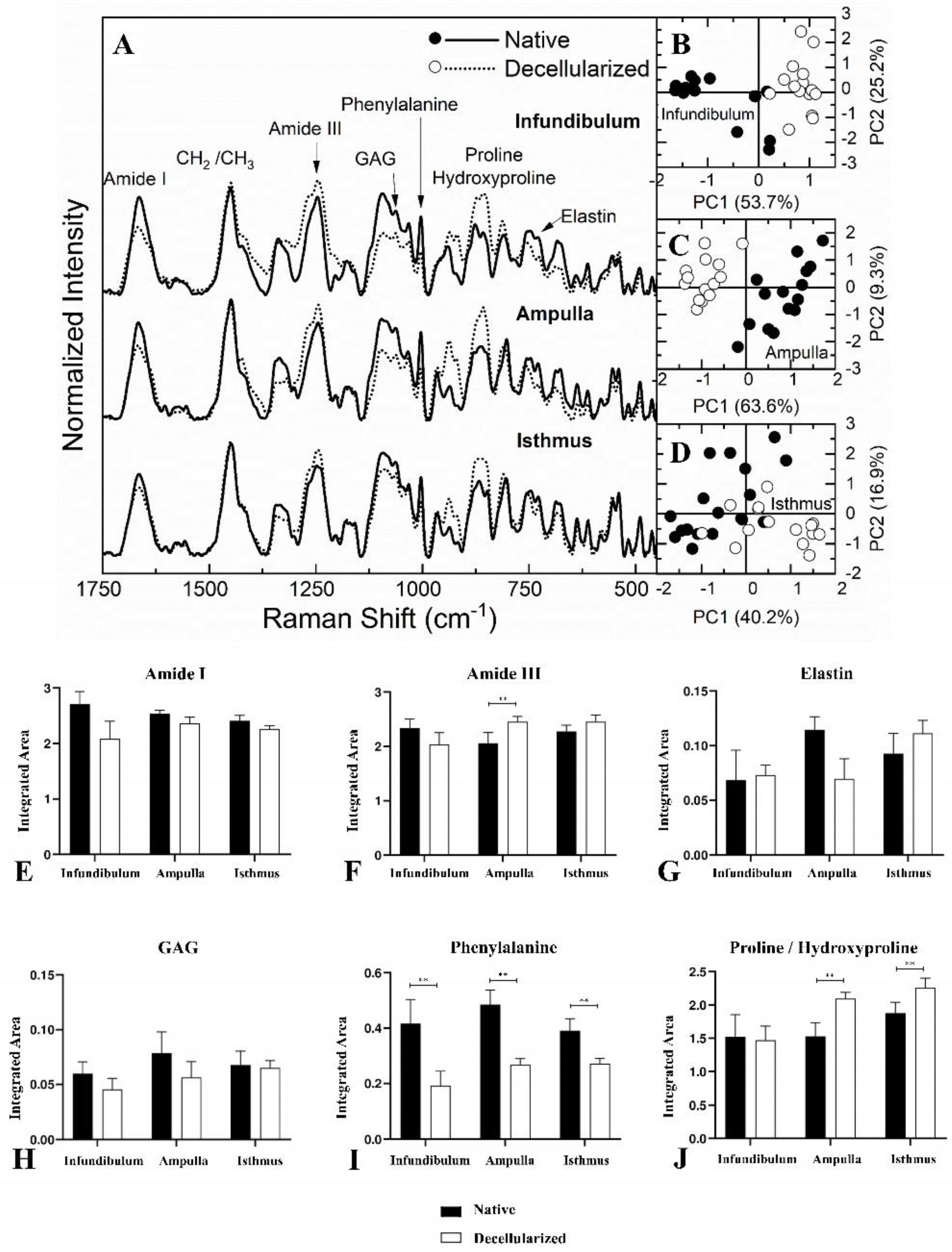 Preprints 107349 g007