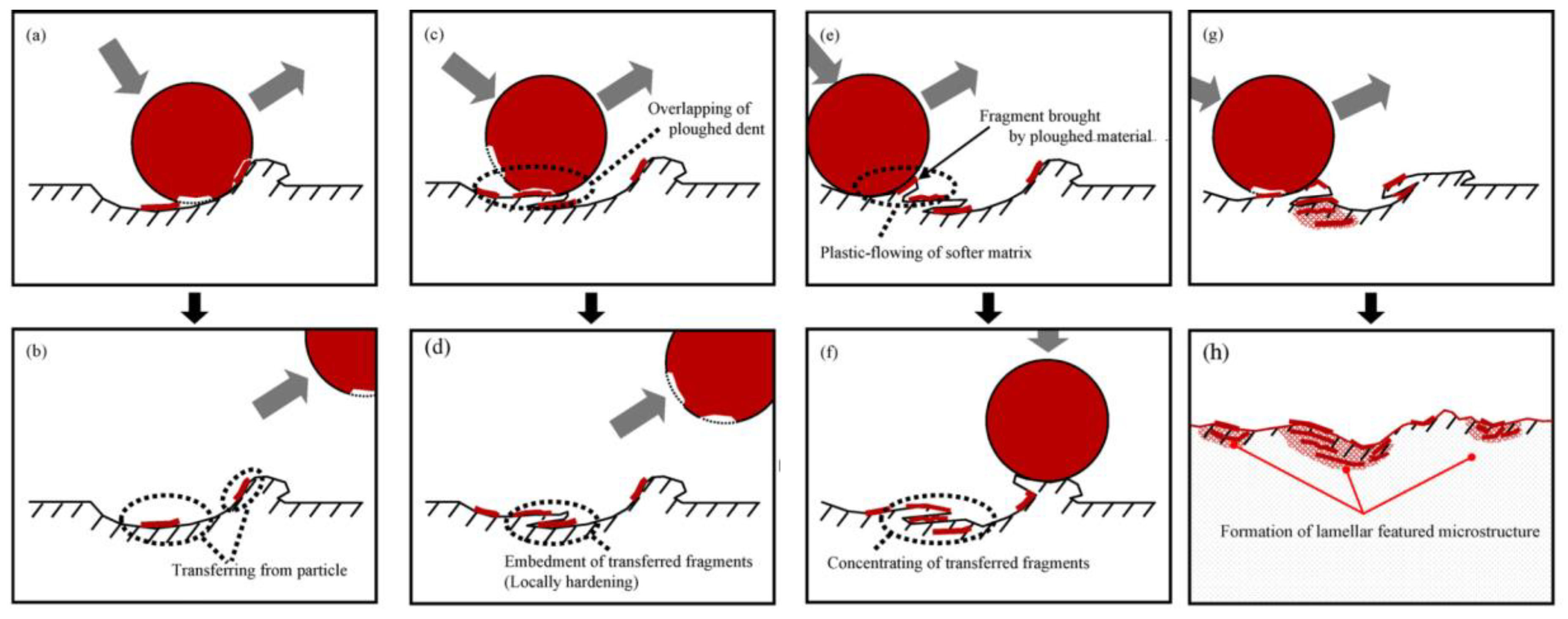 Preprints 96675 g021