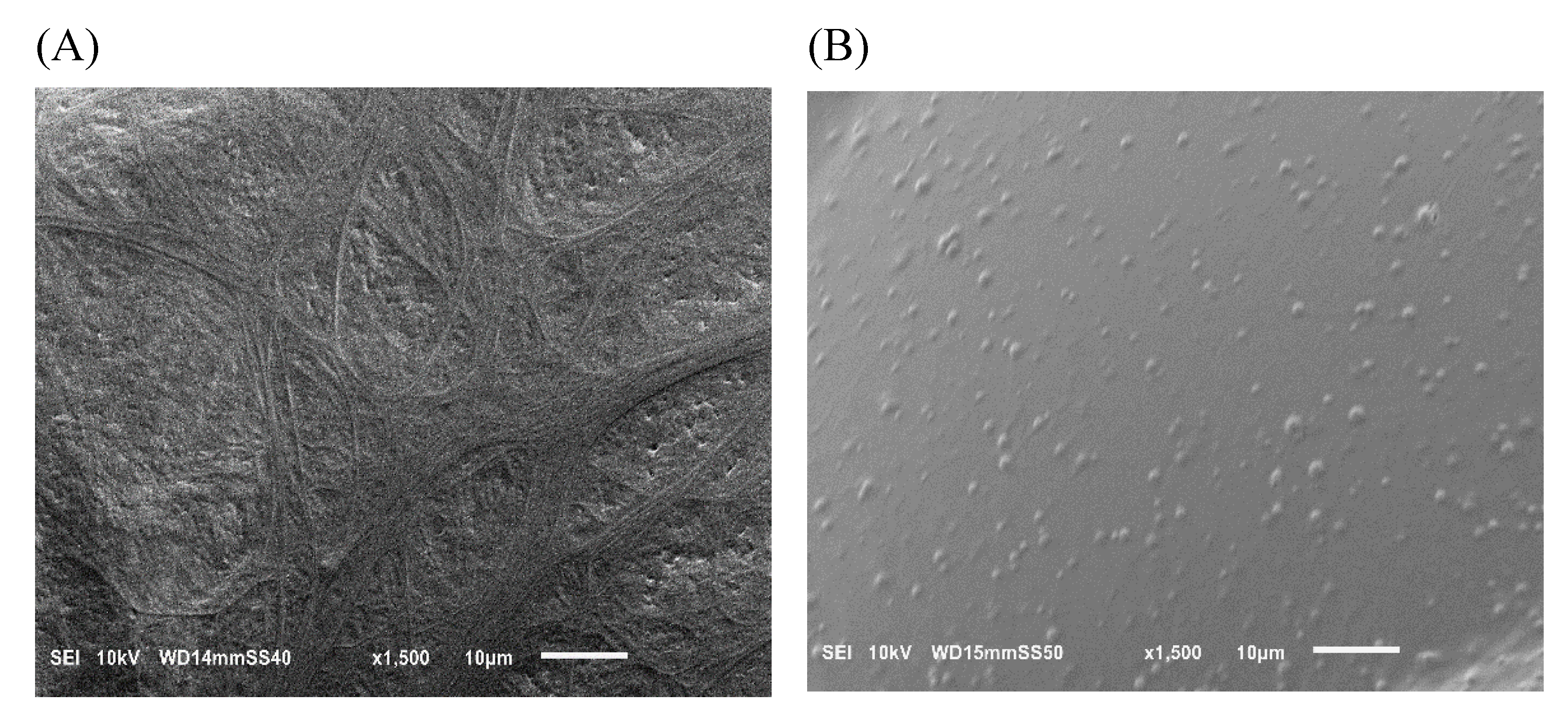 Preprints 118914 g002