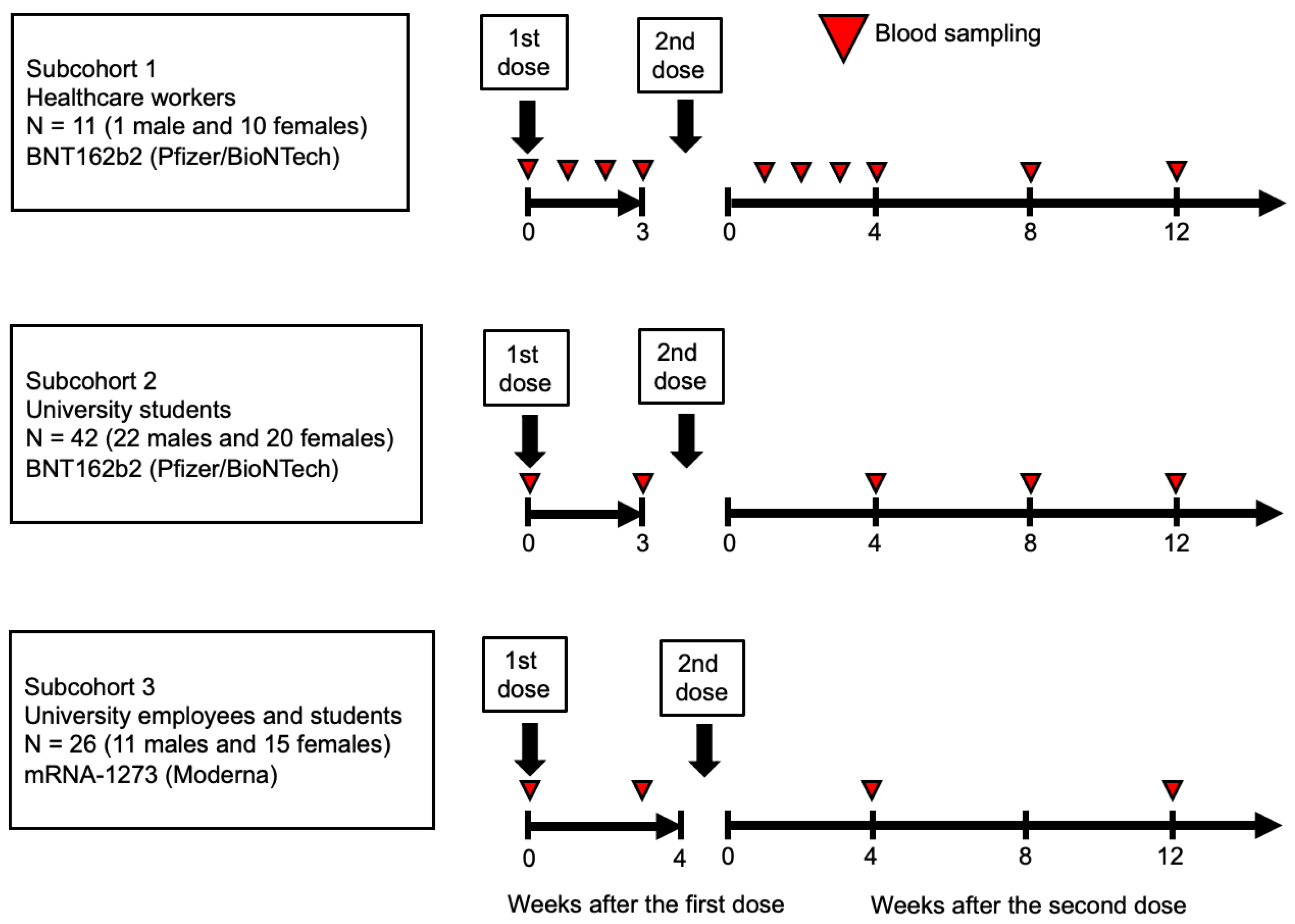 Preprints 121954 g001