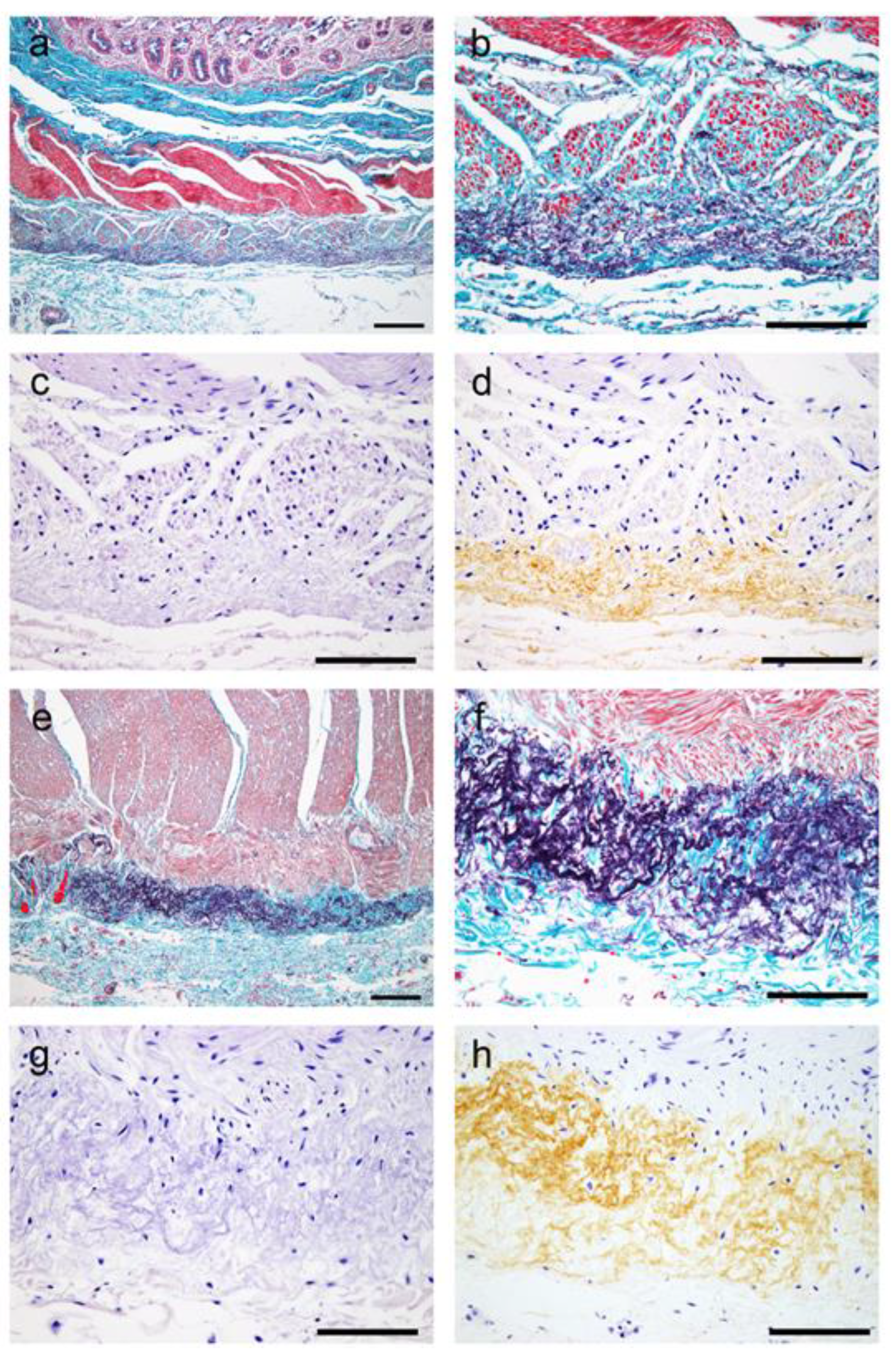 Preprints 109179 g001