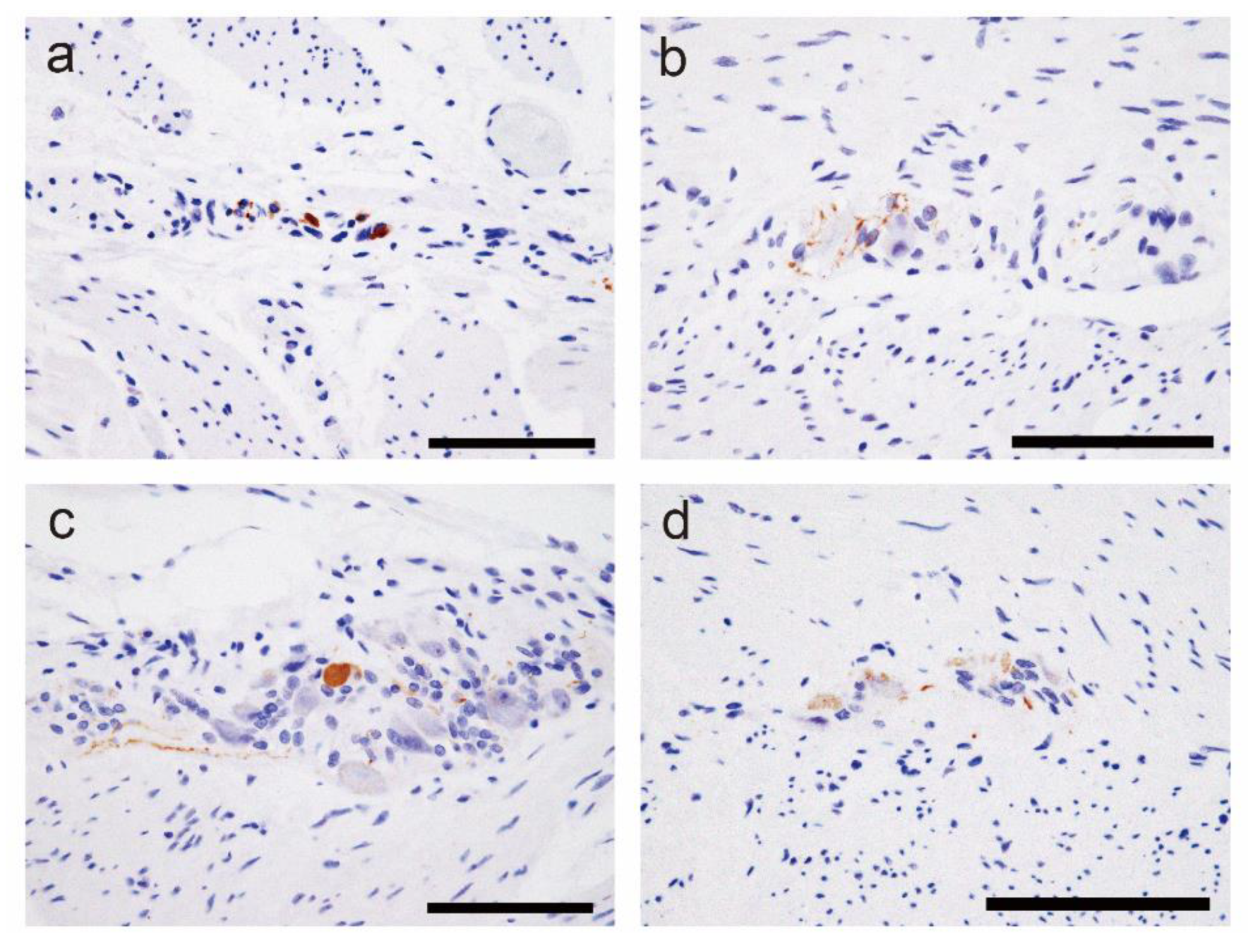 Preprints 109179 g003