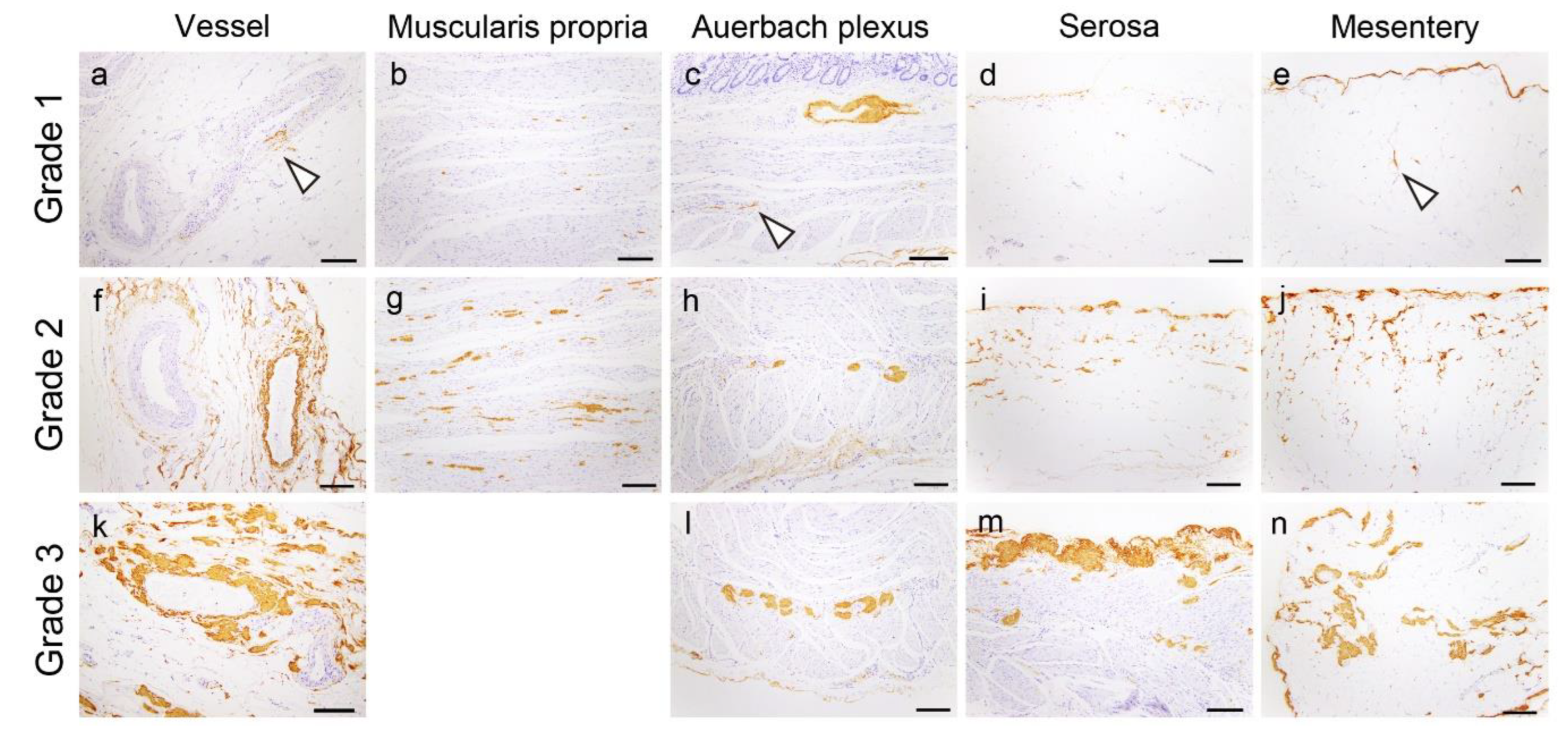 Preprints 109179 g006