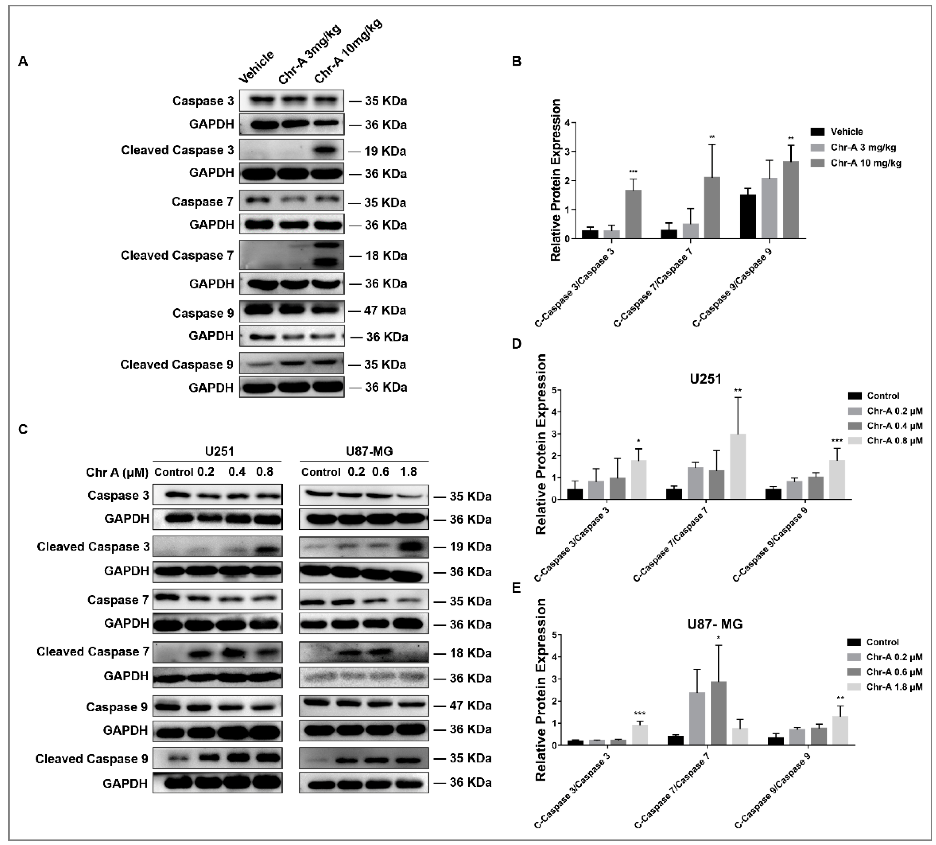 Preprints 71252 g005