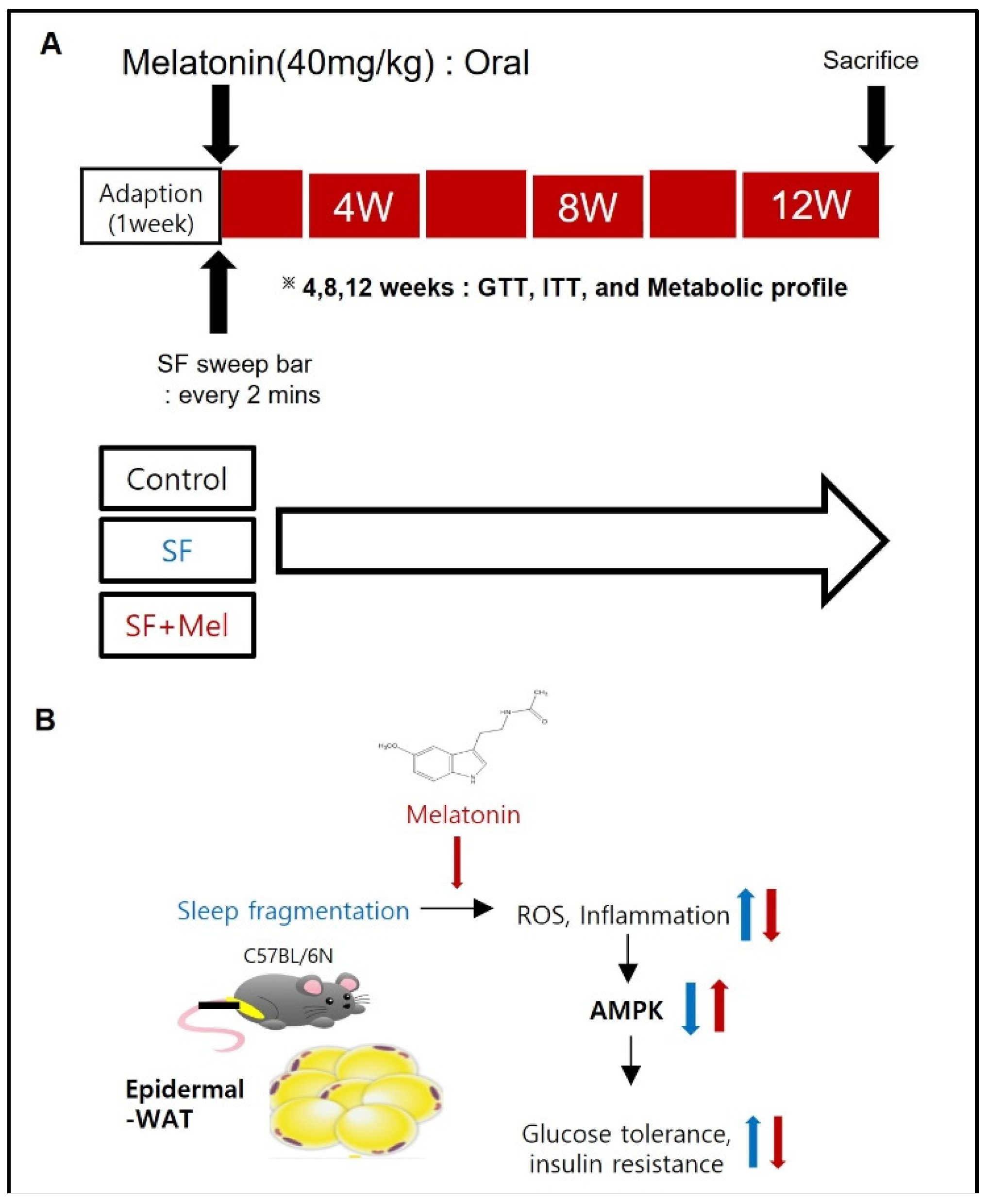 Preprints 99398 g001