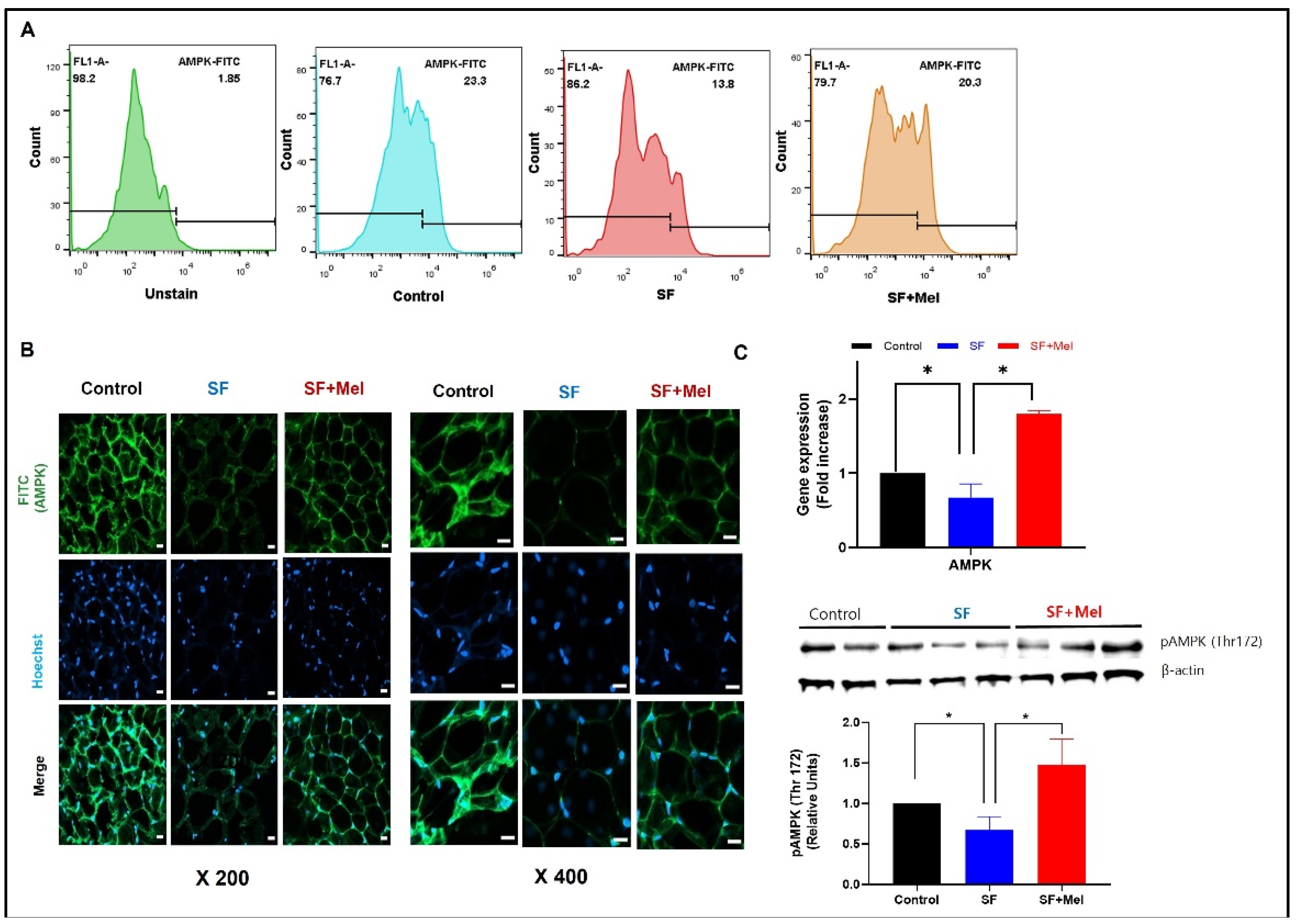 Preprints 99398 g006