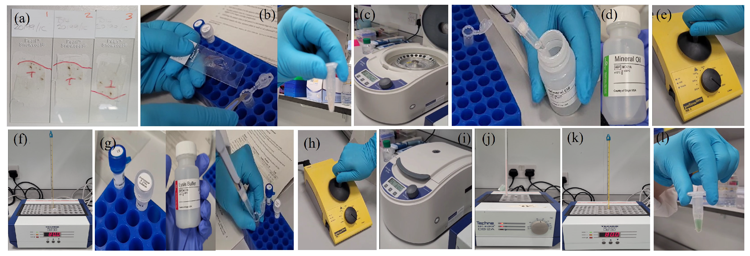 Preprints 131501 g0a15