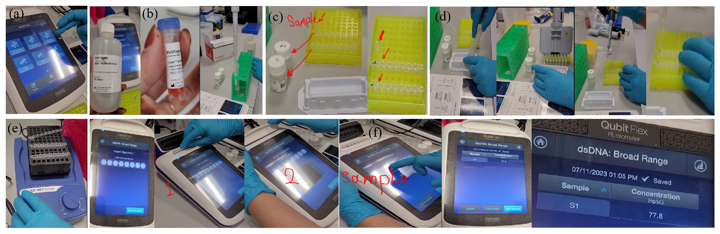 Preprints 131501 g0a17