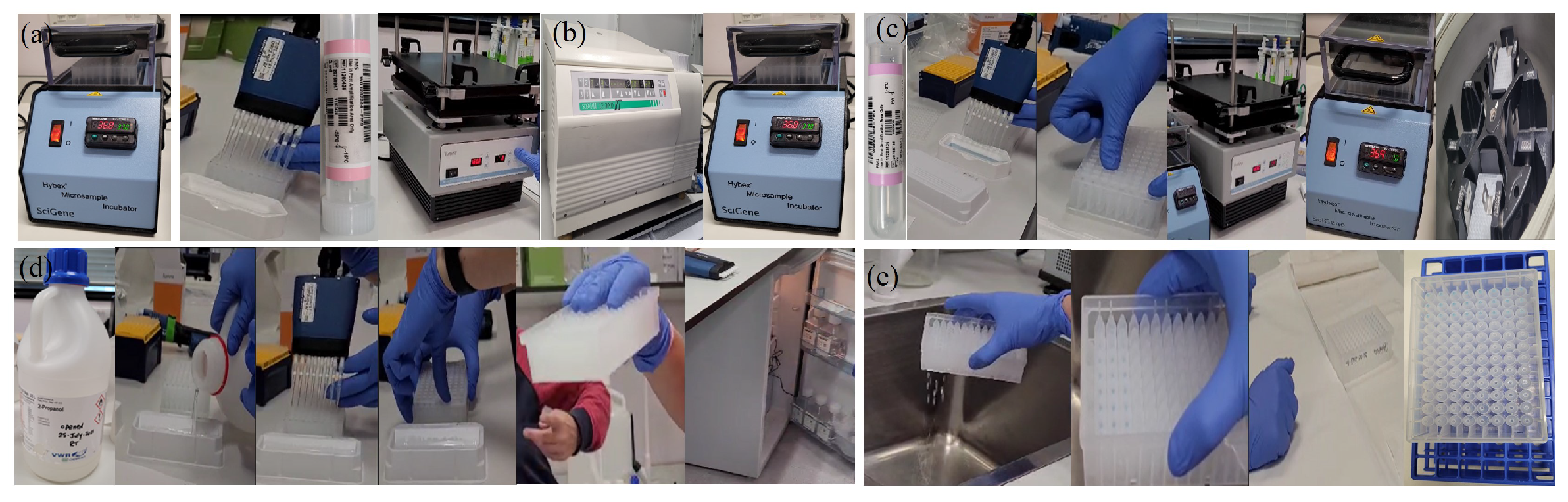 Preprints 131501 g0a19