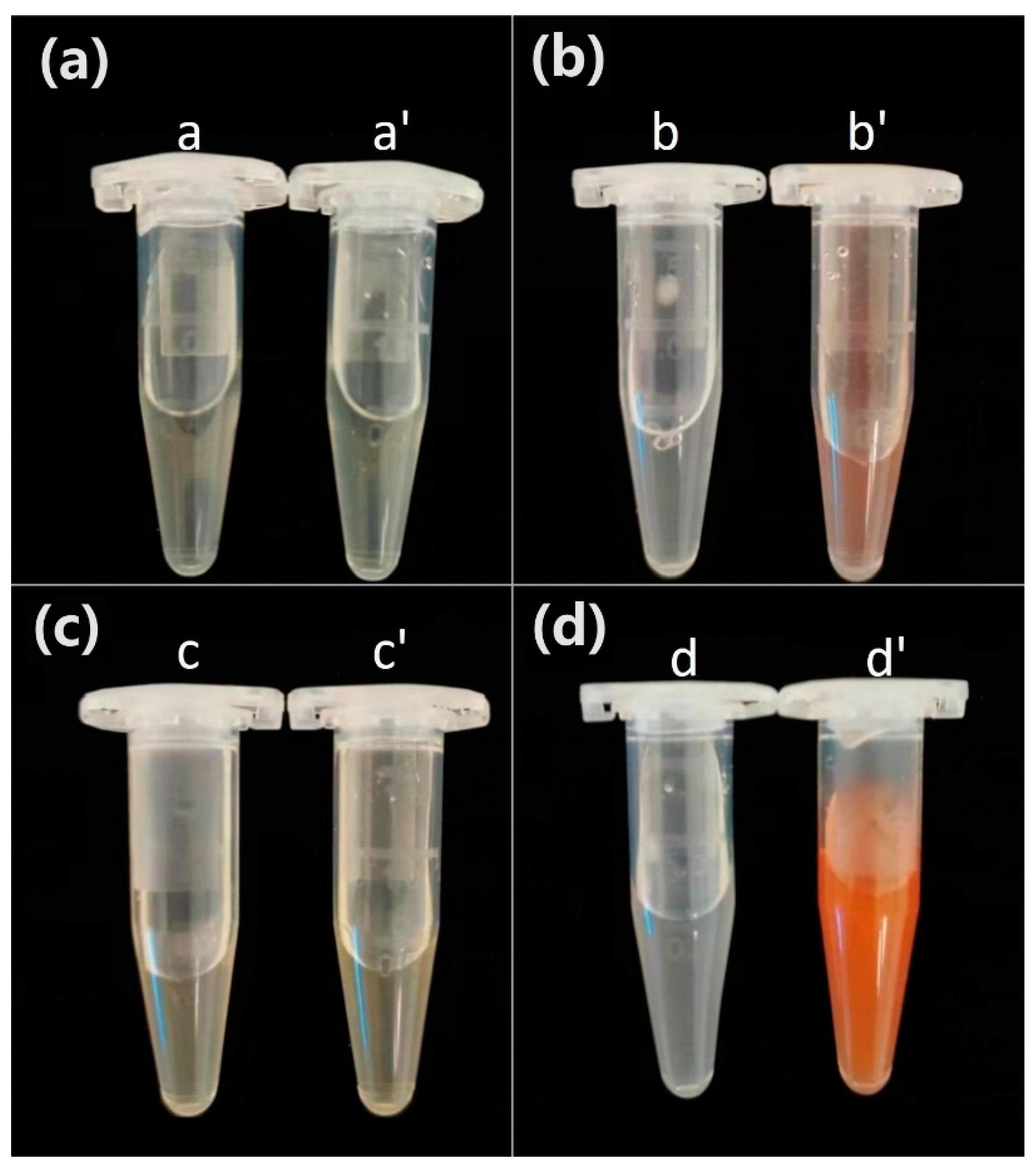 Preprints 96490 g004