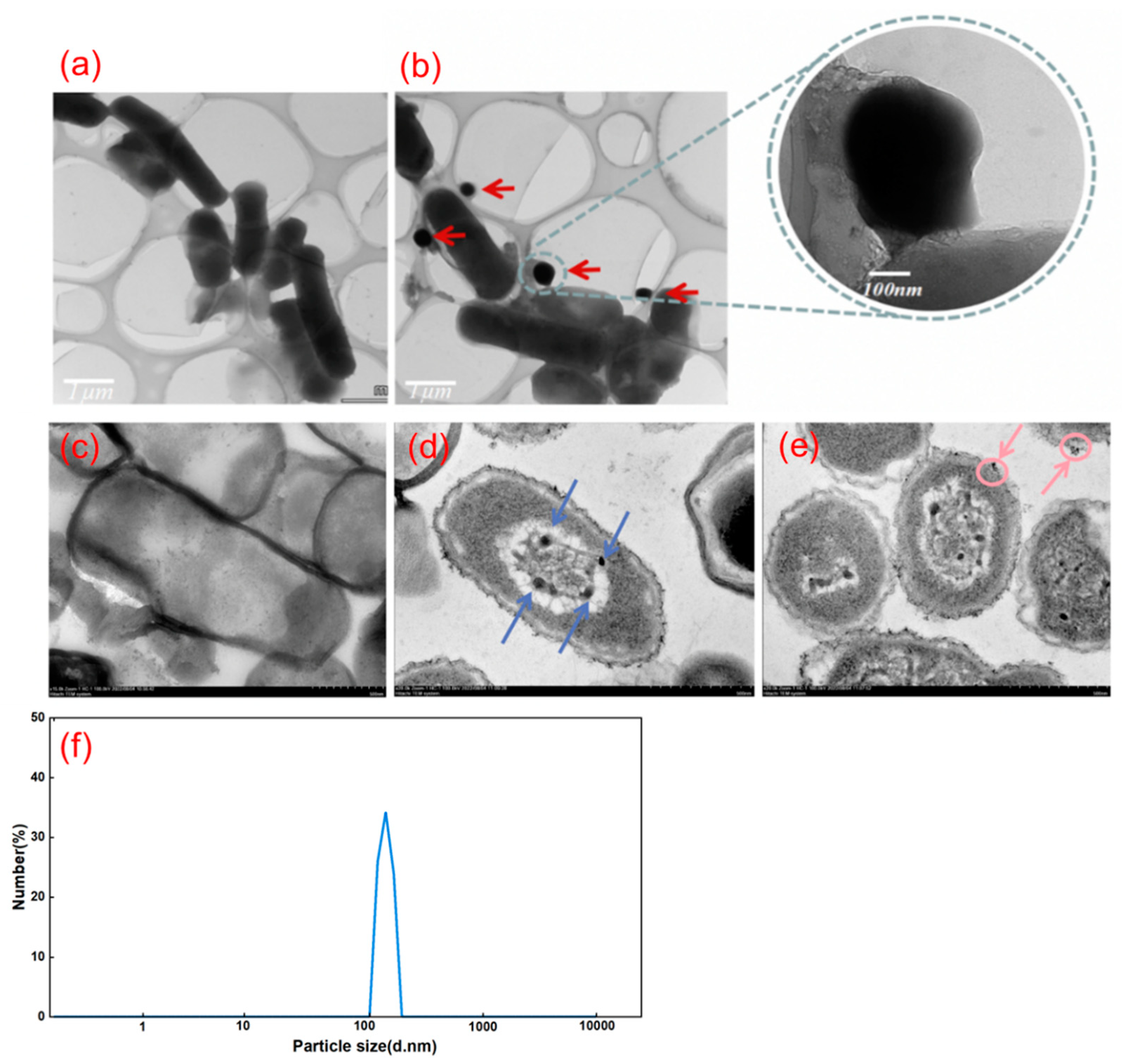 Preprints 96490 g007