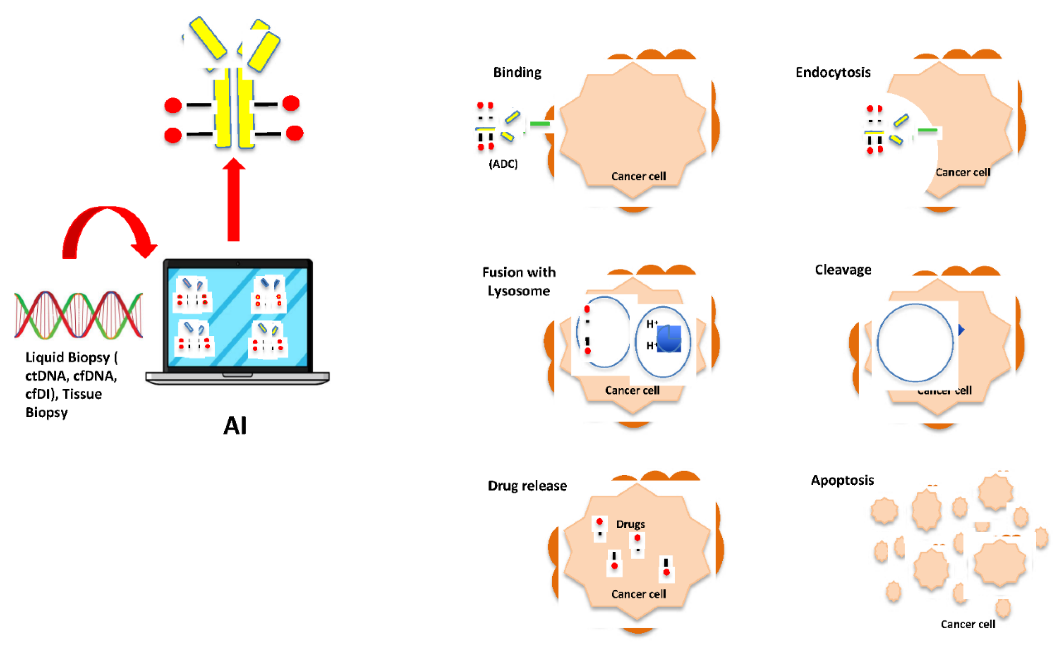 Preprints 114210 g002