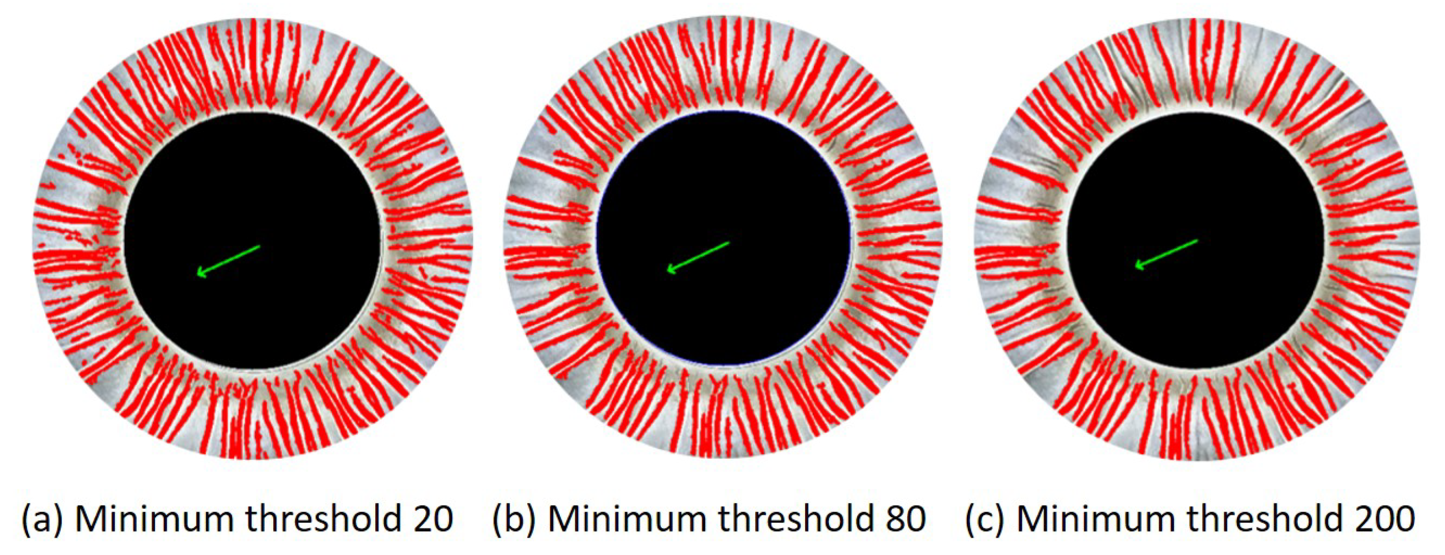 Preprints 120862 g007