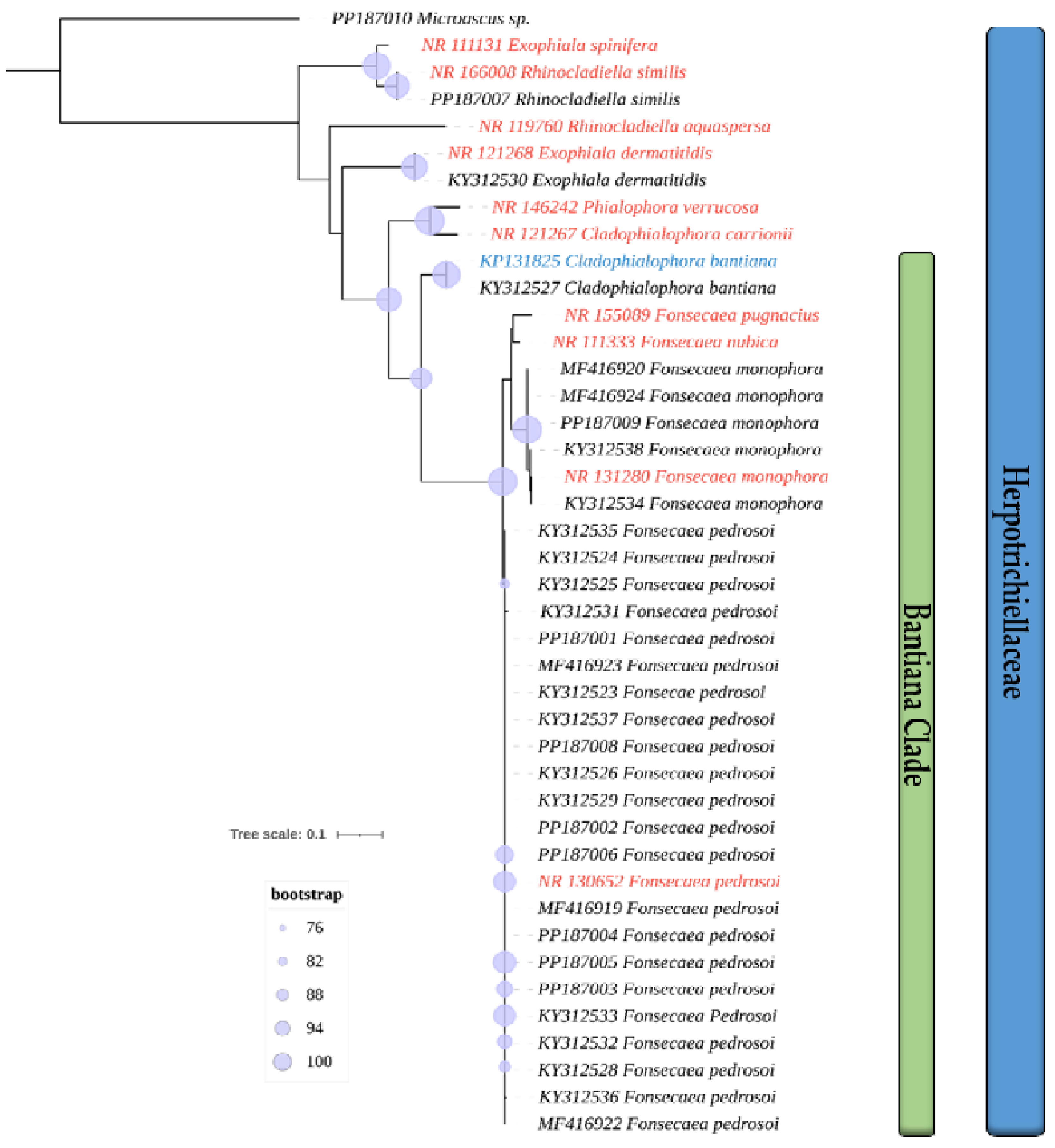 Preprints 101675 g001