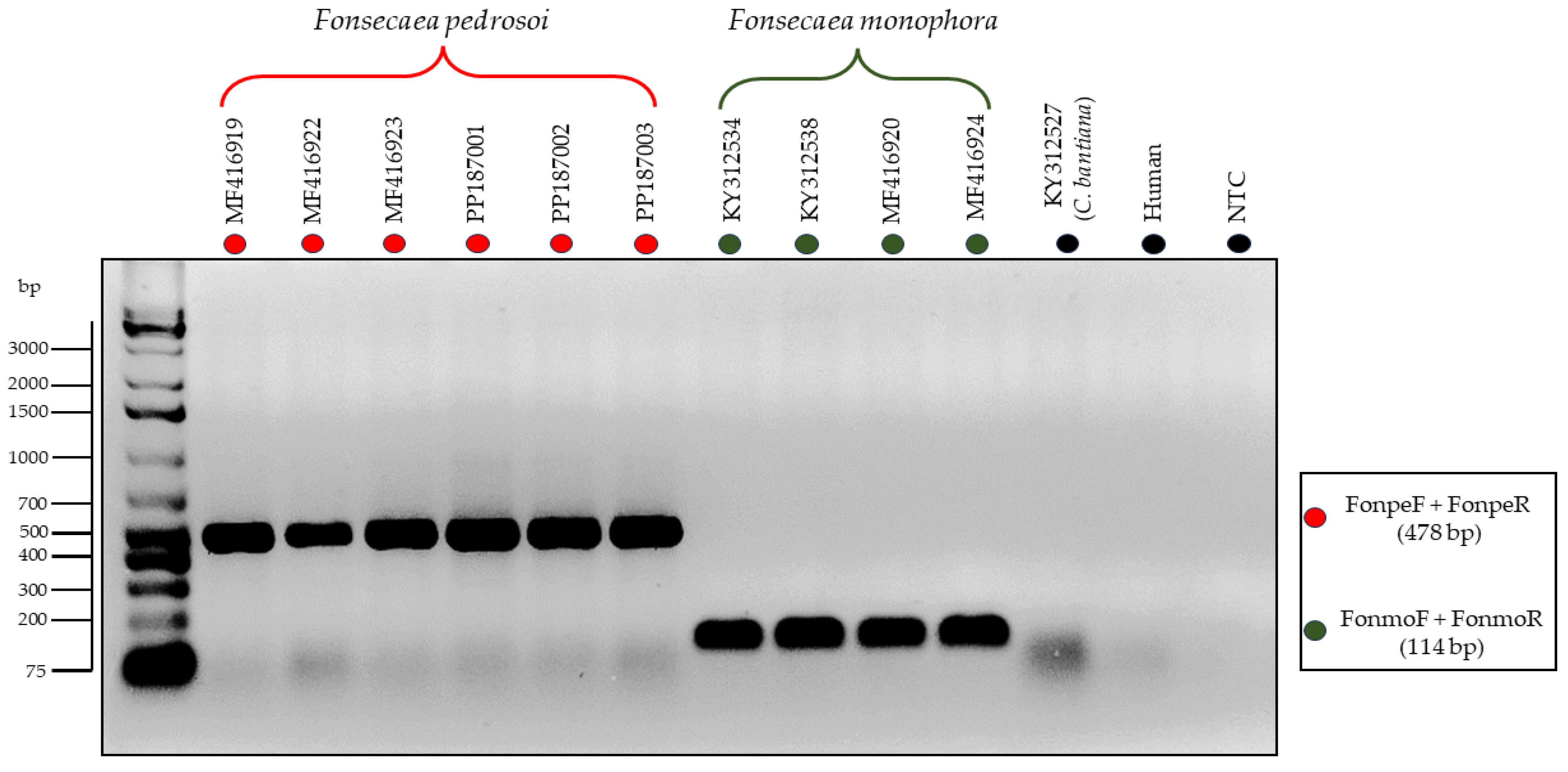 Preprints 101675 g004