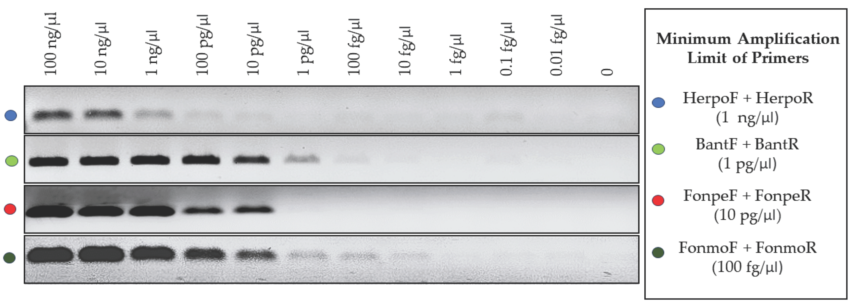 Preprints 101675 g005