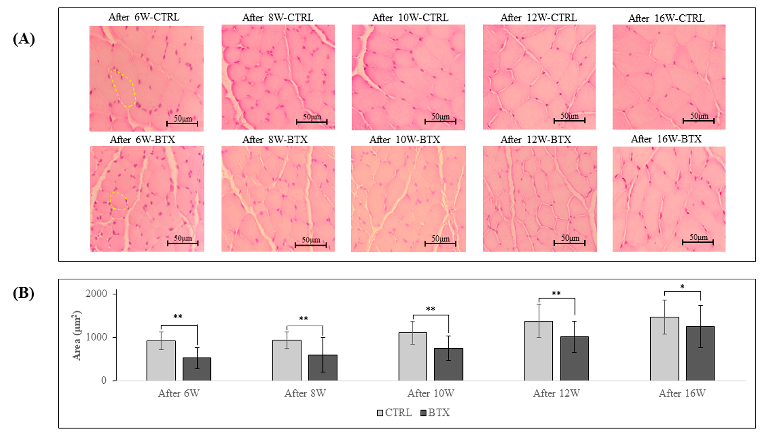 Preprints 79961 g006