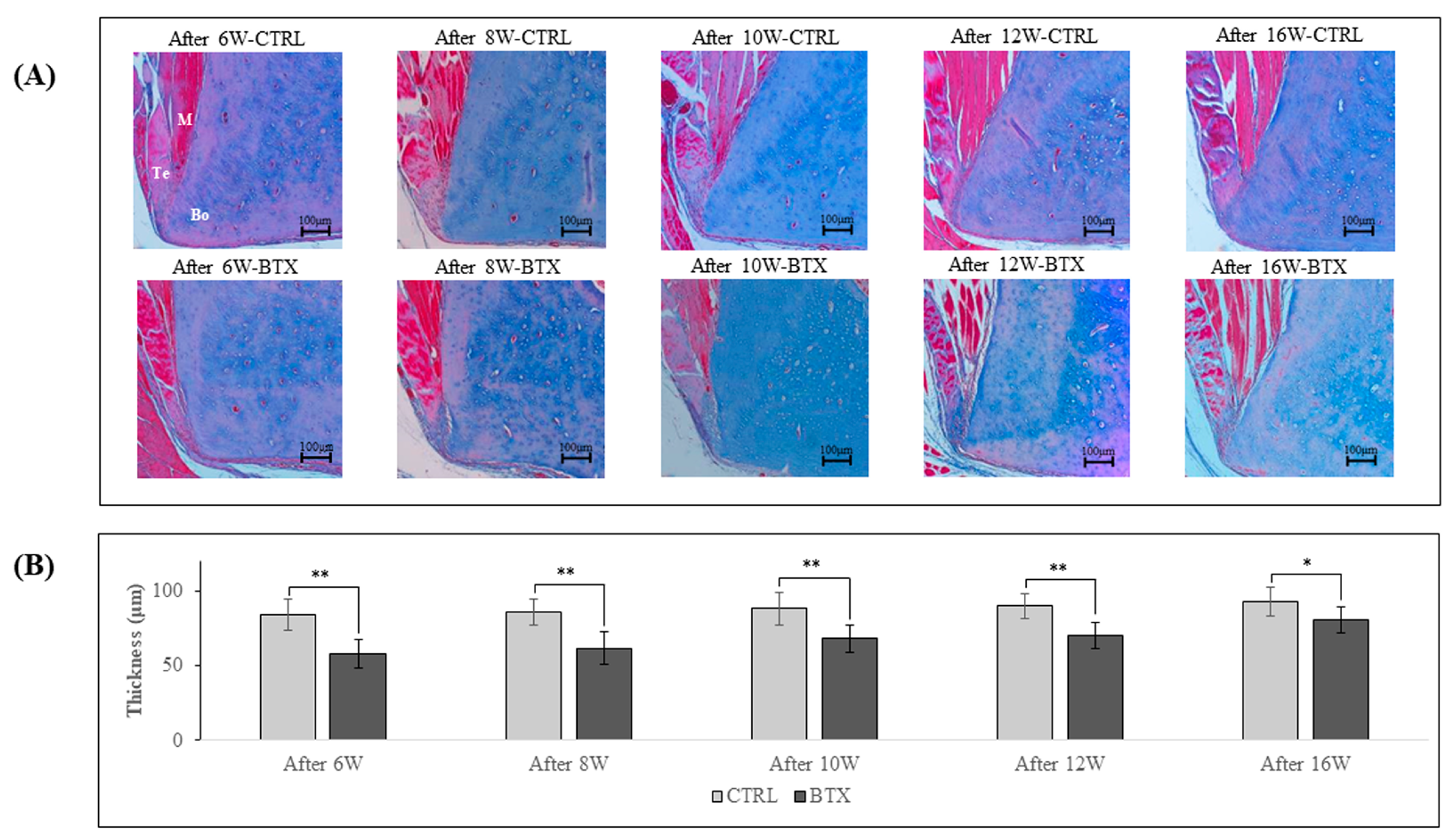 Preprints 79961 g007