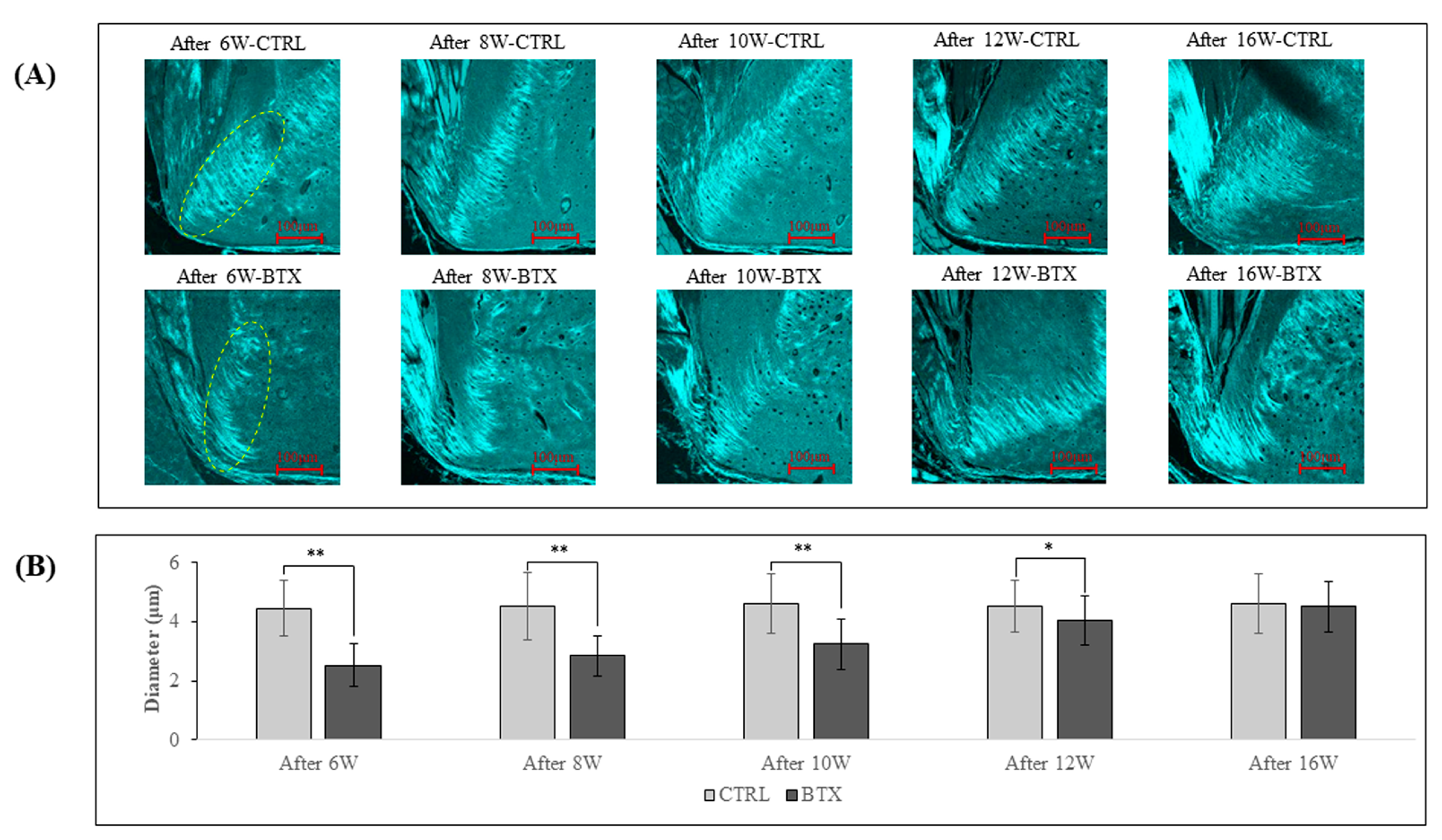 Preprints 79961 g008