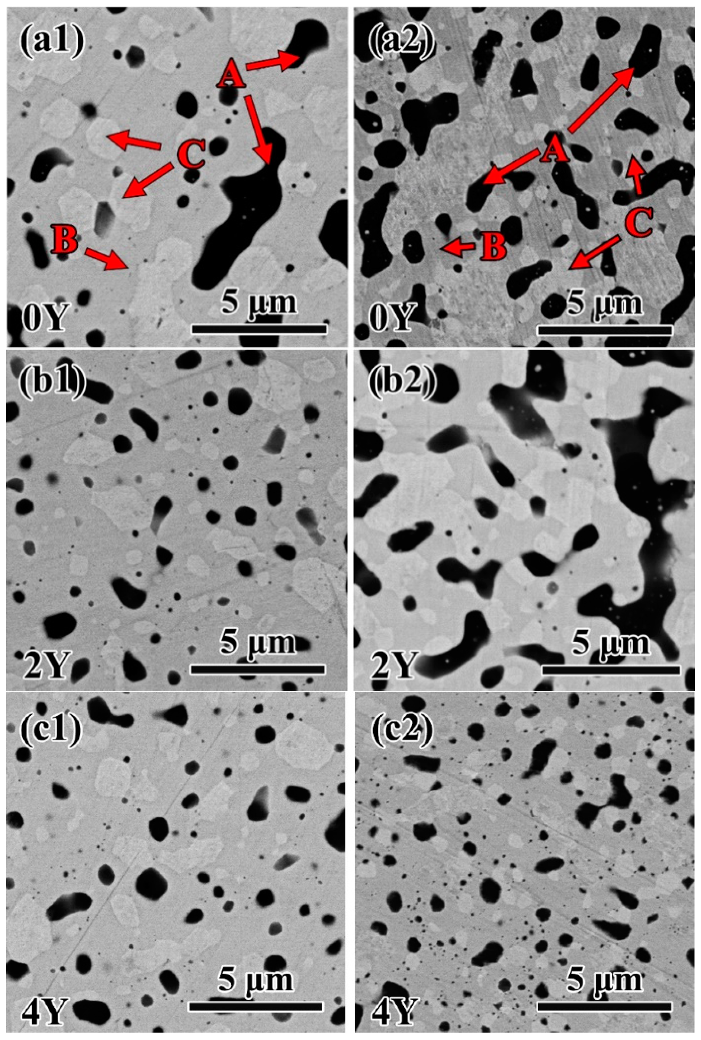 Preprints 95341 g005a