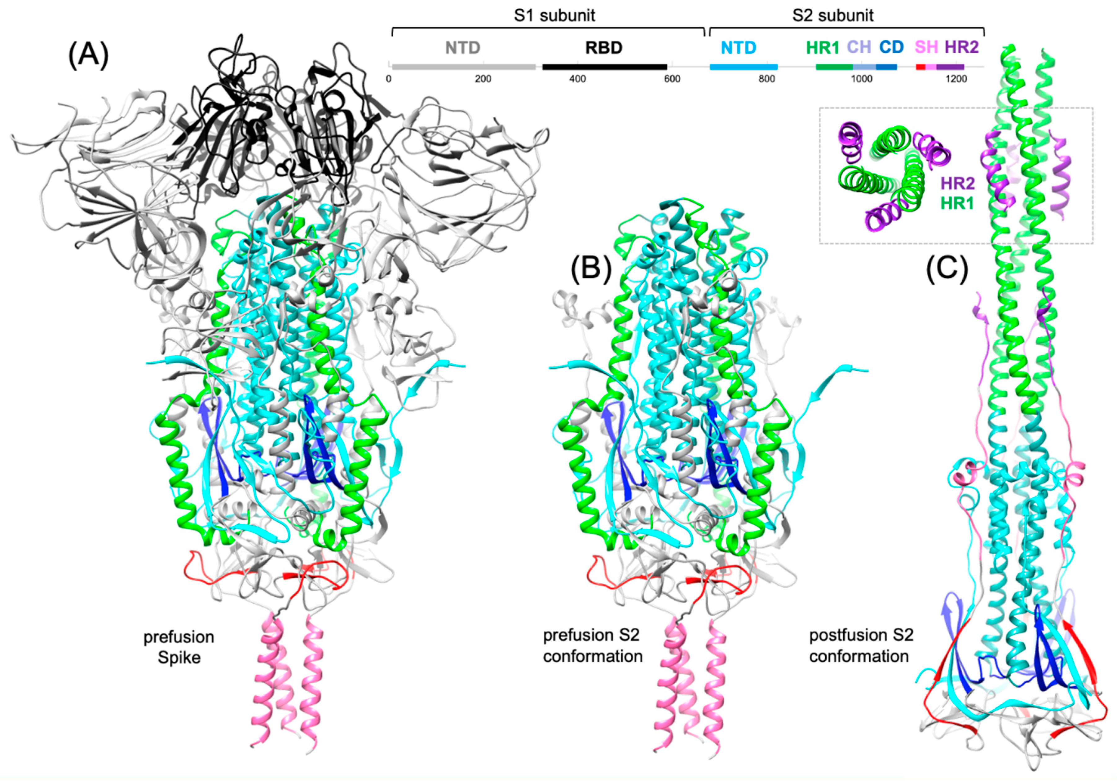 Preprints 100420 g001