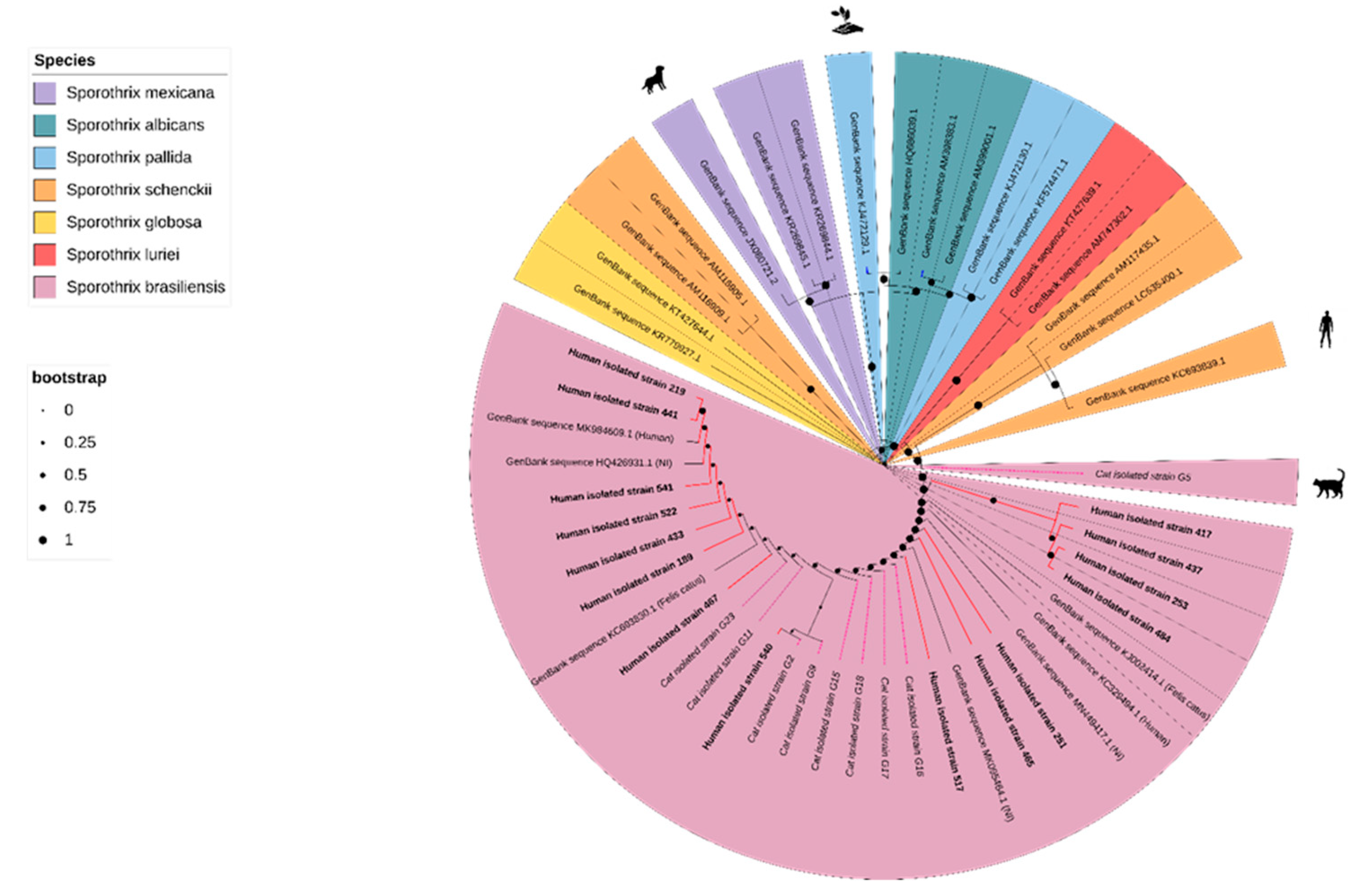 Preprints 106723 g005