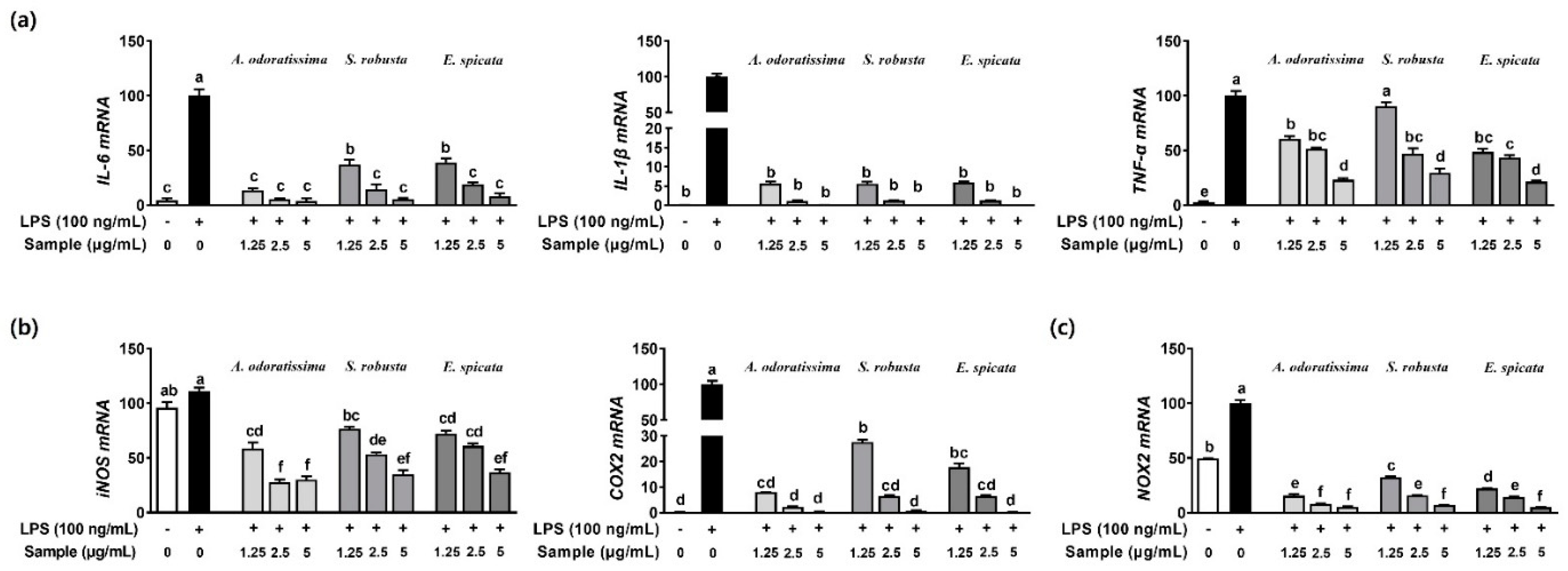 Preprints 87332 g001