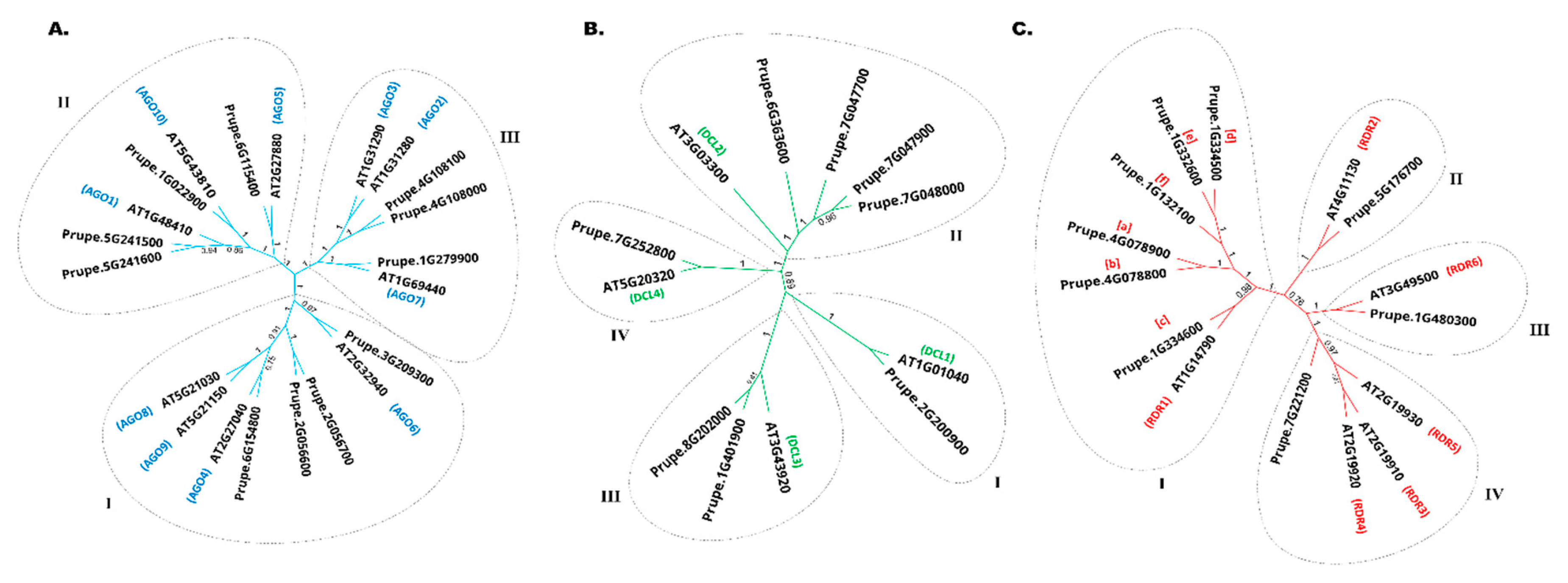 Preprints 112185 g001