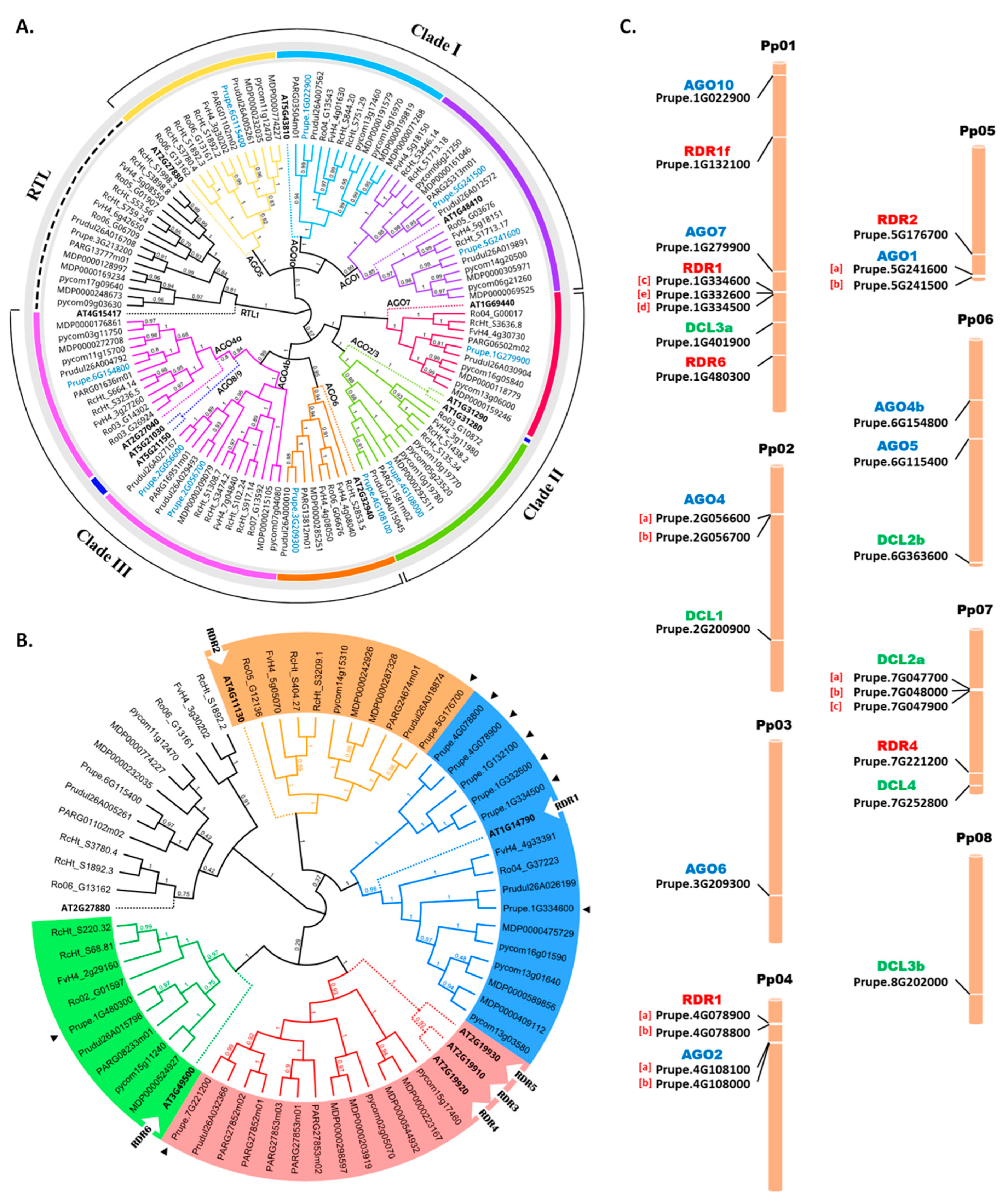 Preprints 112185 g002