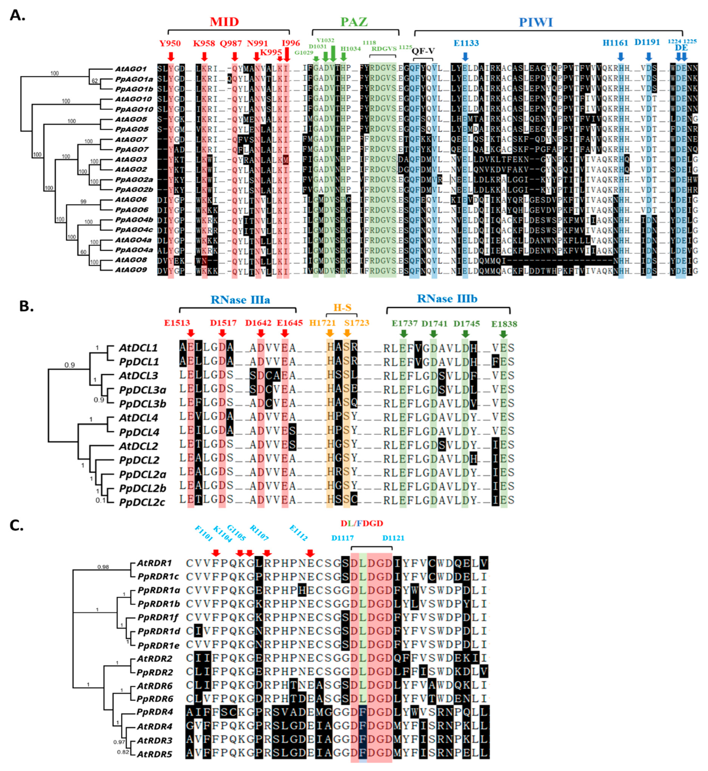 Preprints 112185 g004