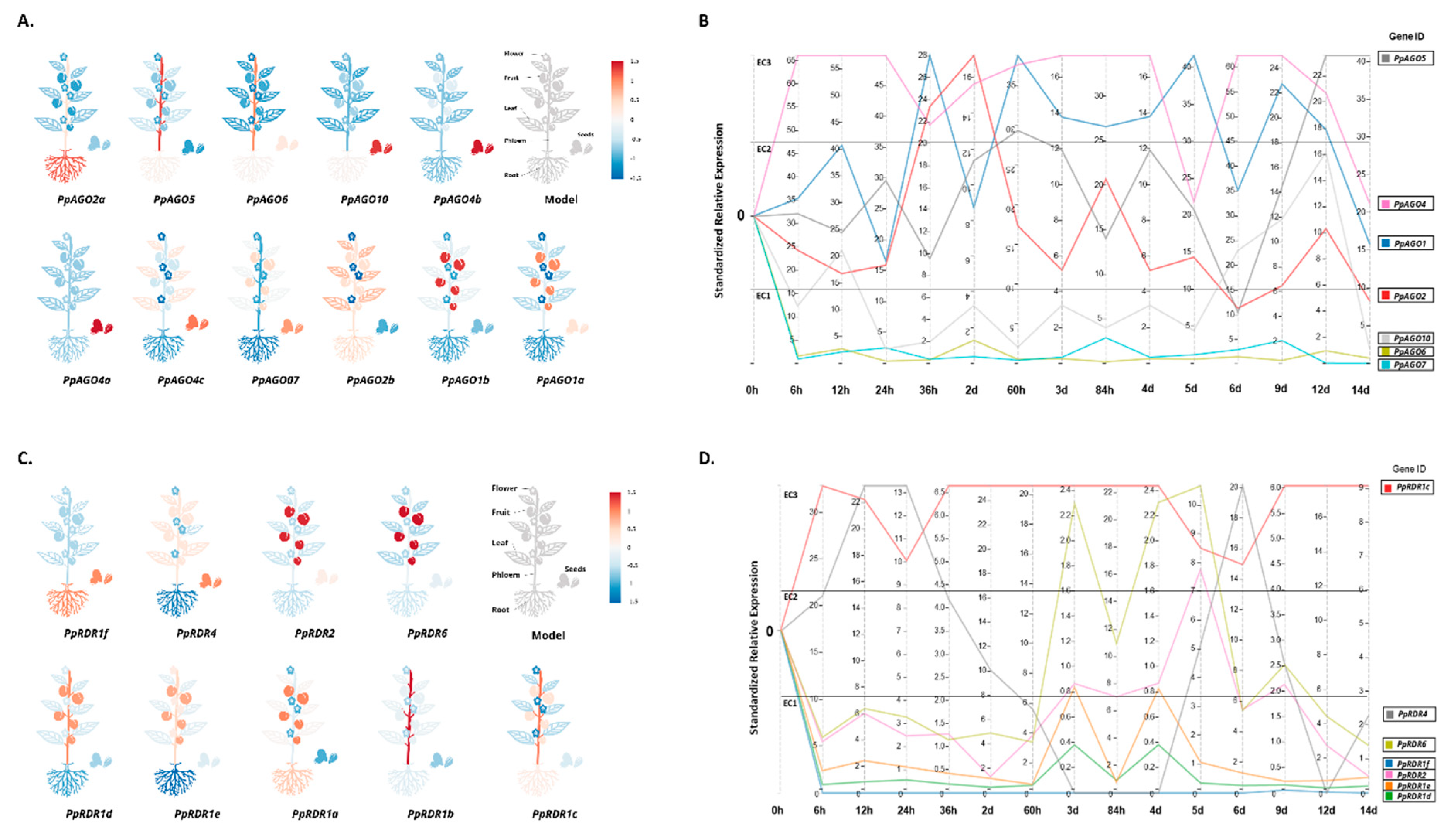 Preprints 112185 g006