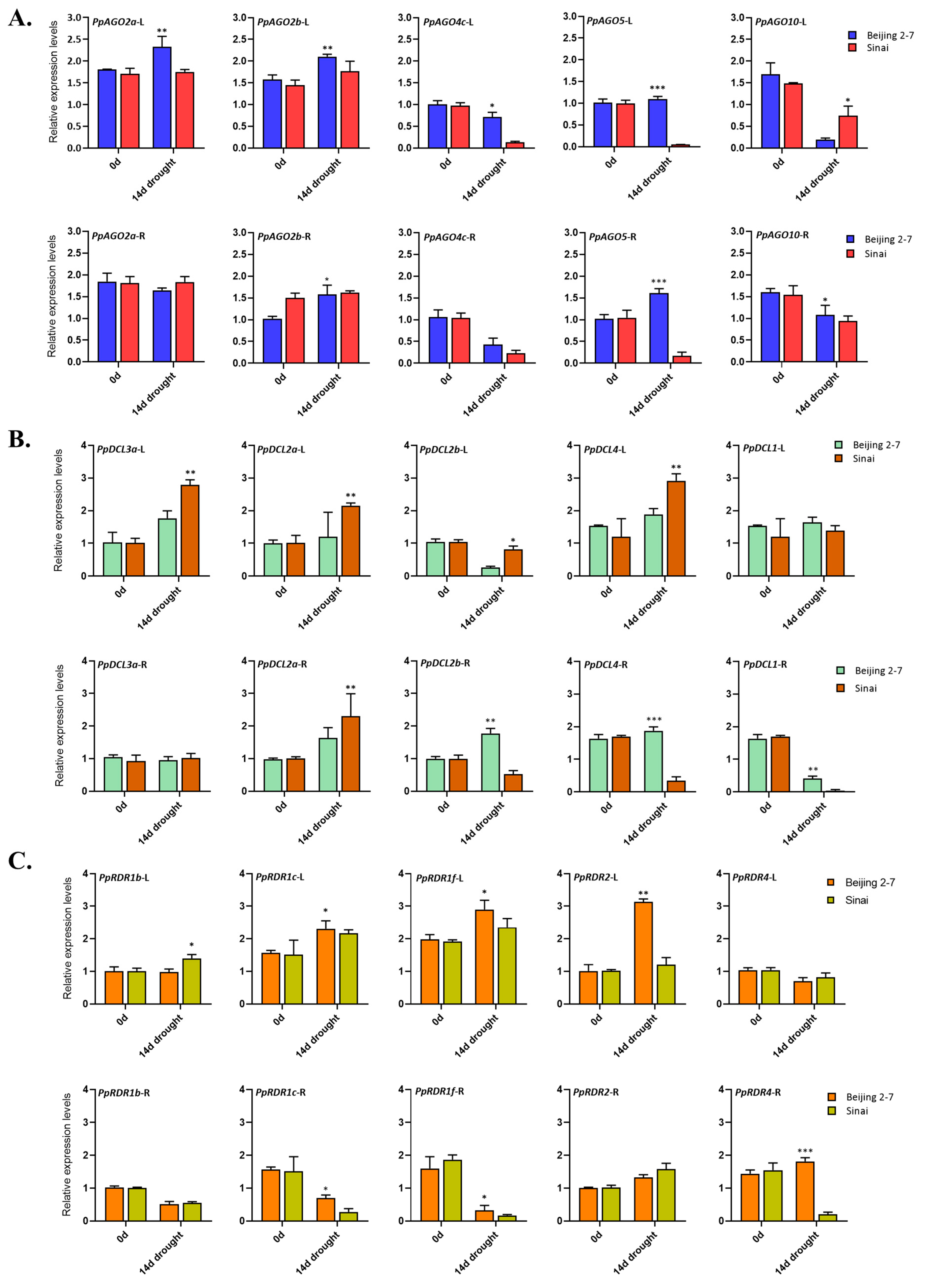 Preprints 112185 g007