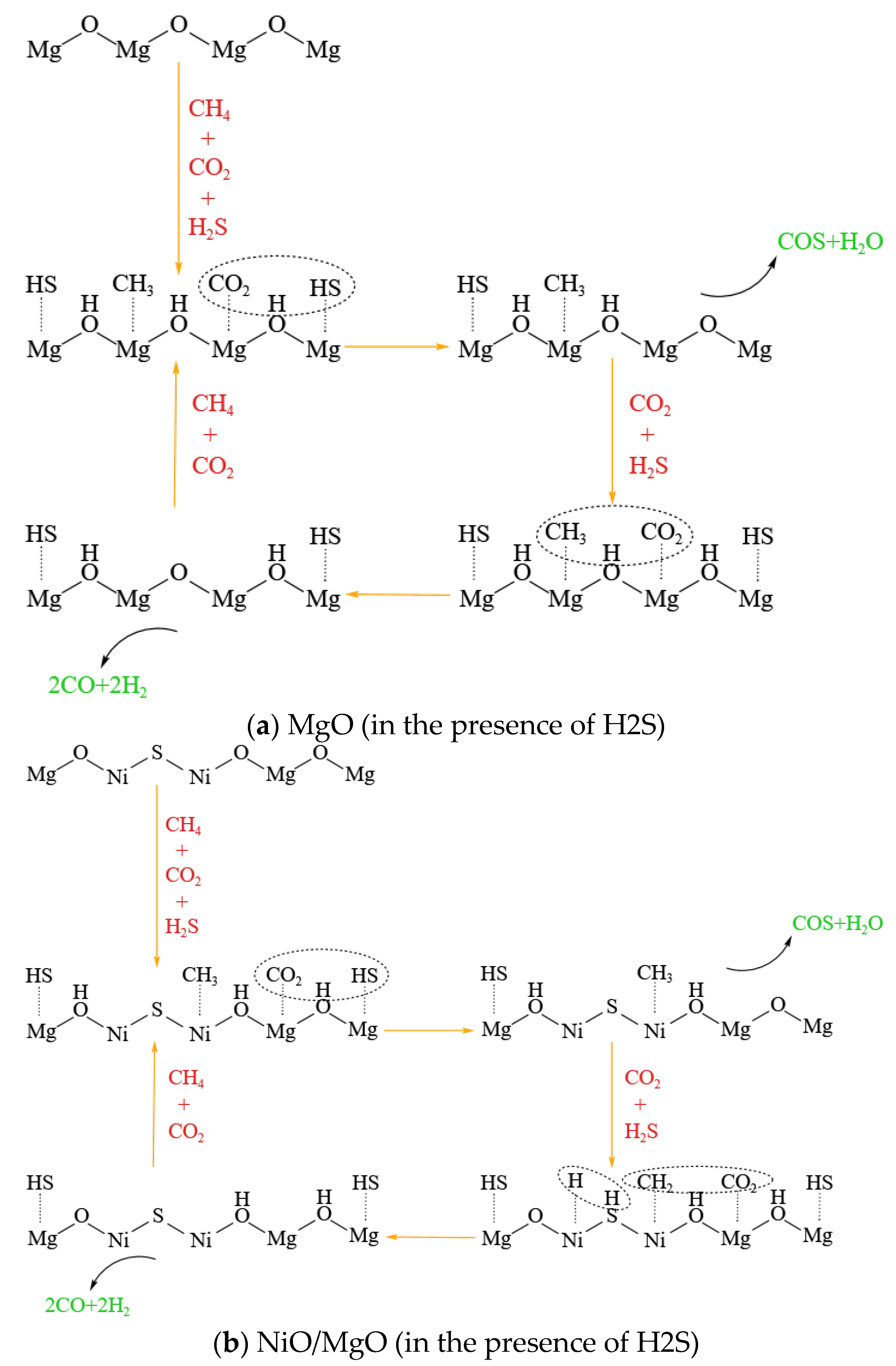 Preprints 104838 g008