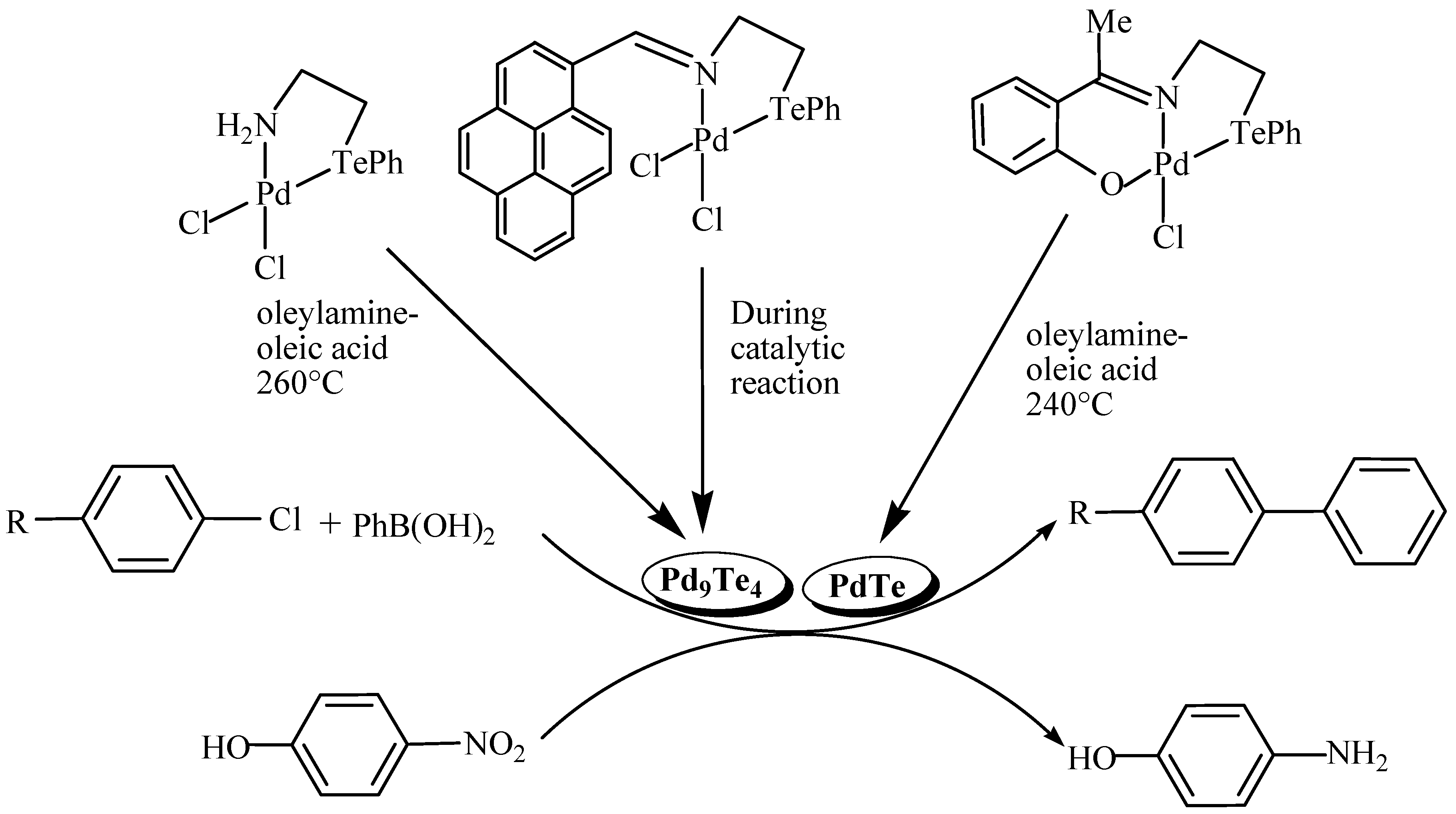 Preprints 74877 sch004