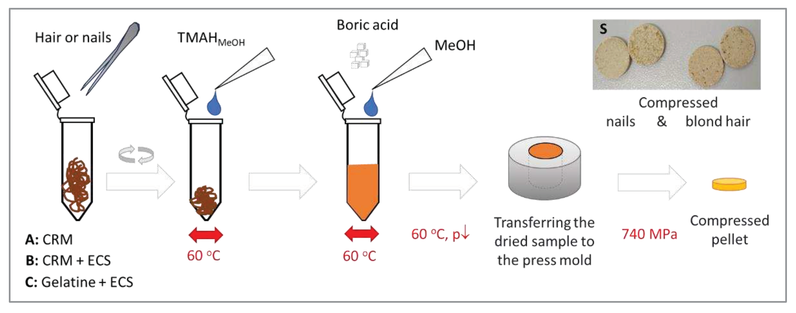 Preprints 95086 g007