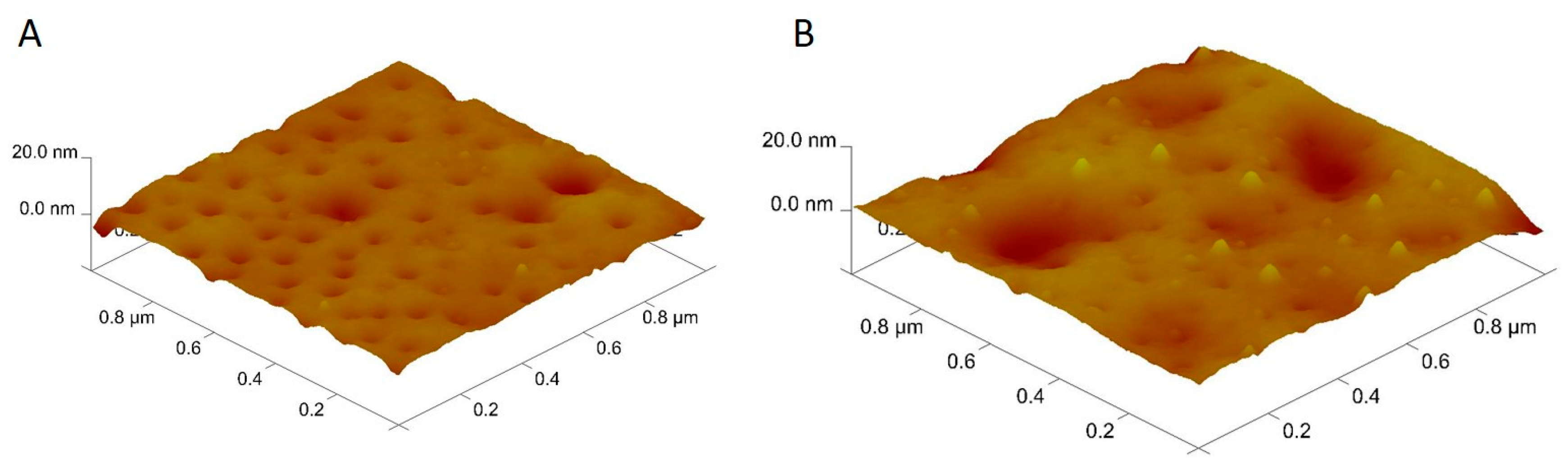 Preprints 93695 g001