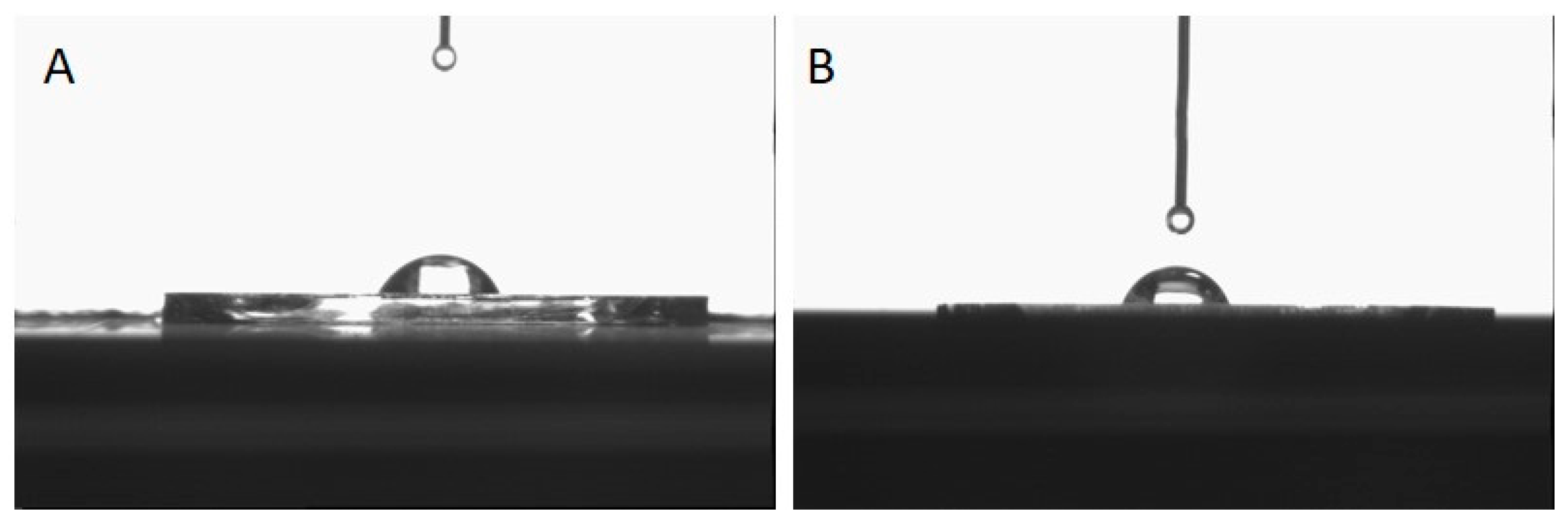 Preprints 93695 g002