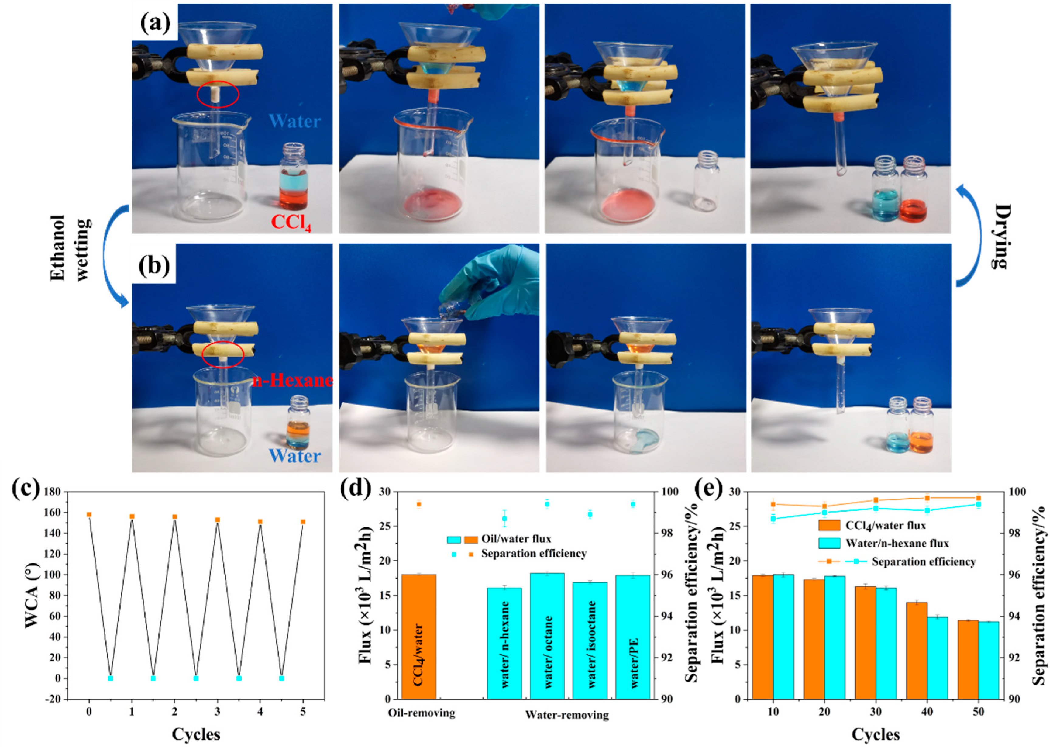 Preprints 112138 g010