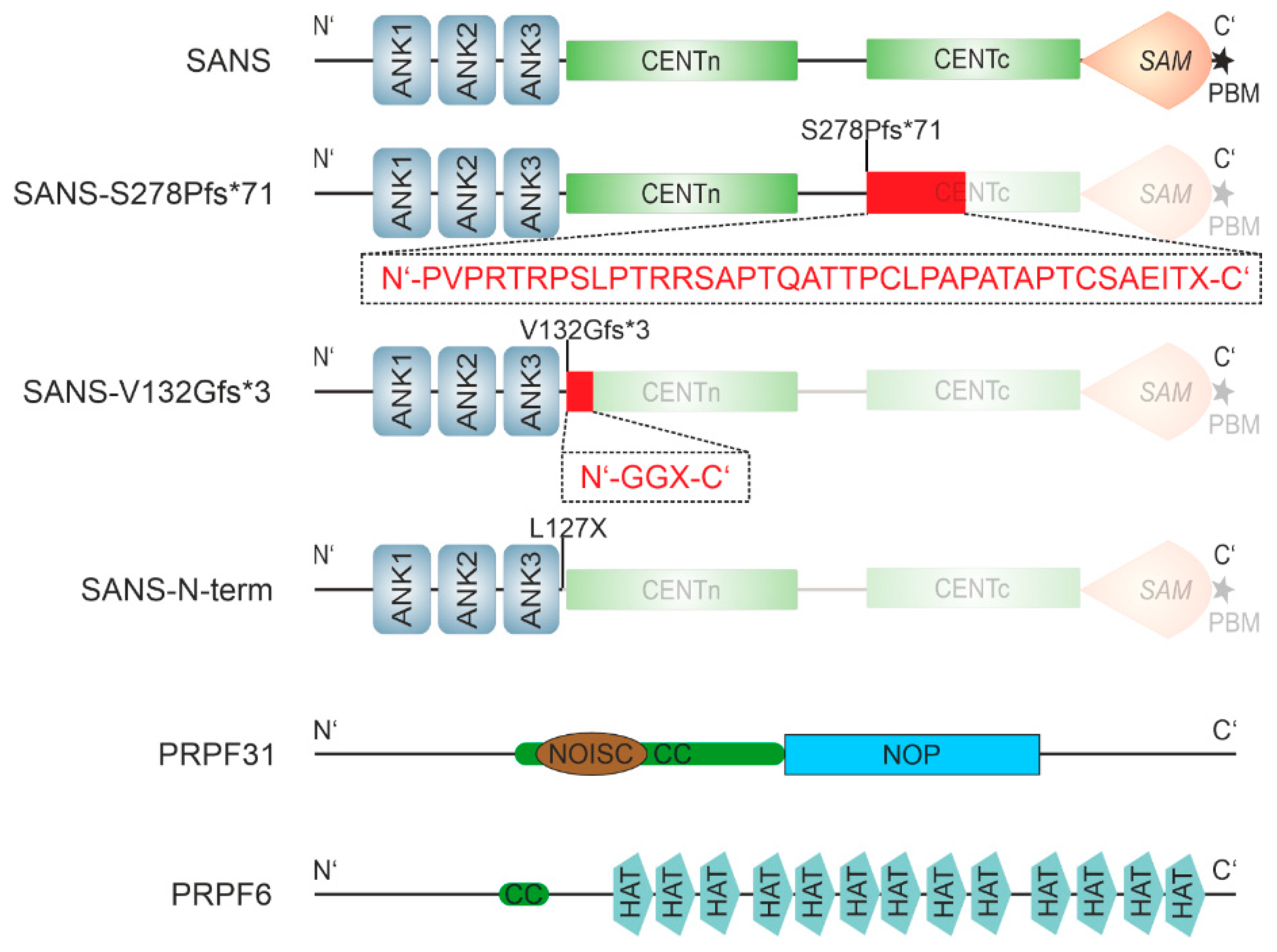 Preprints 90015 g001