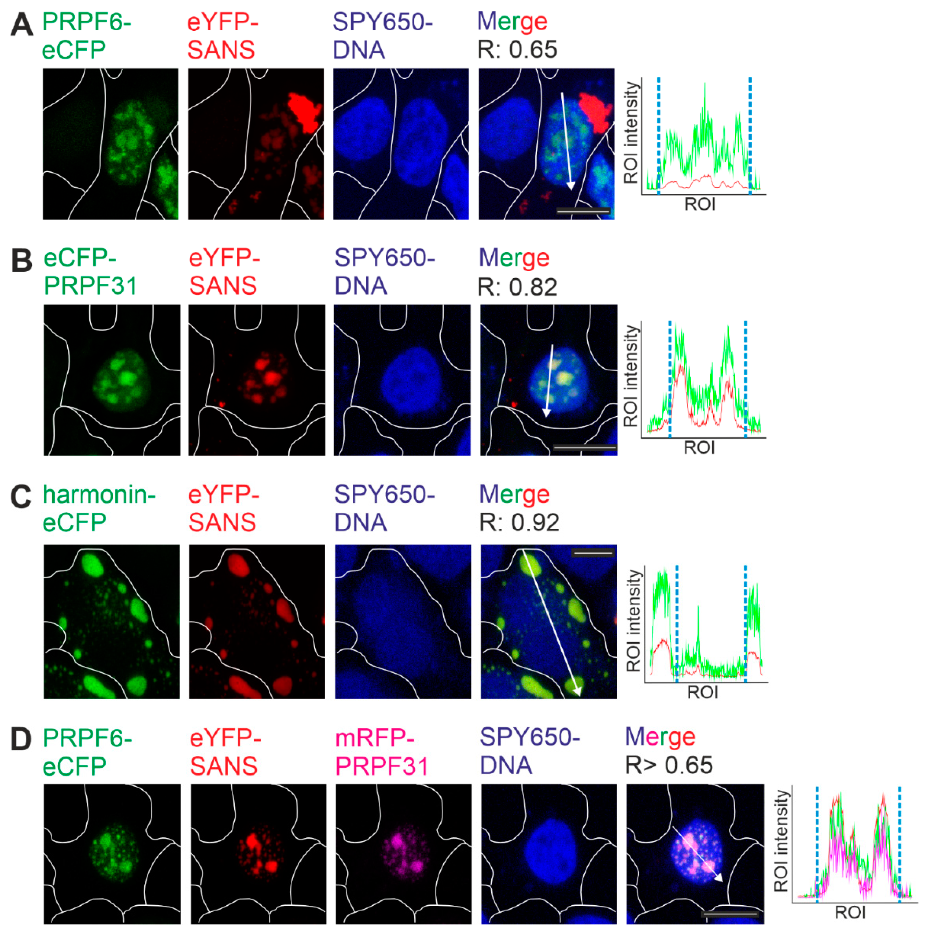 Preprints 90015 g002