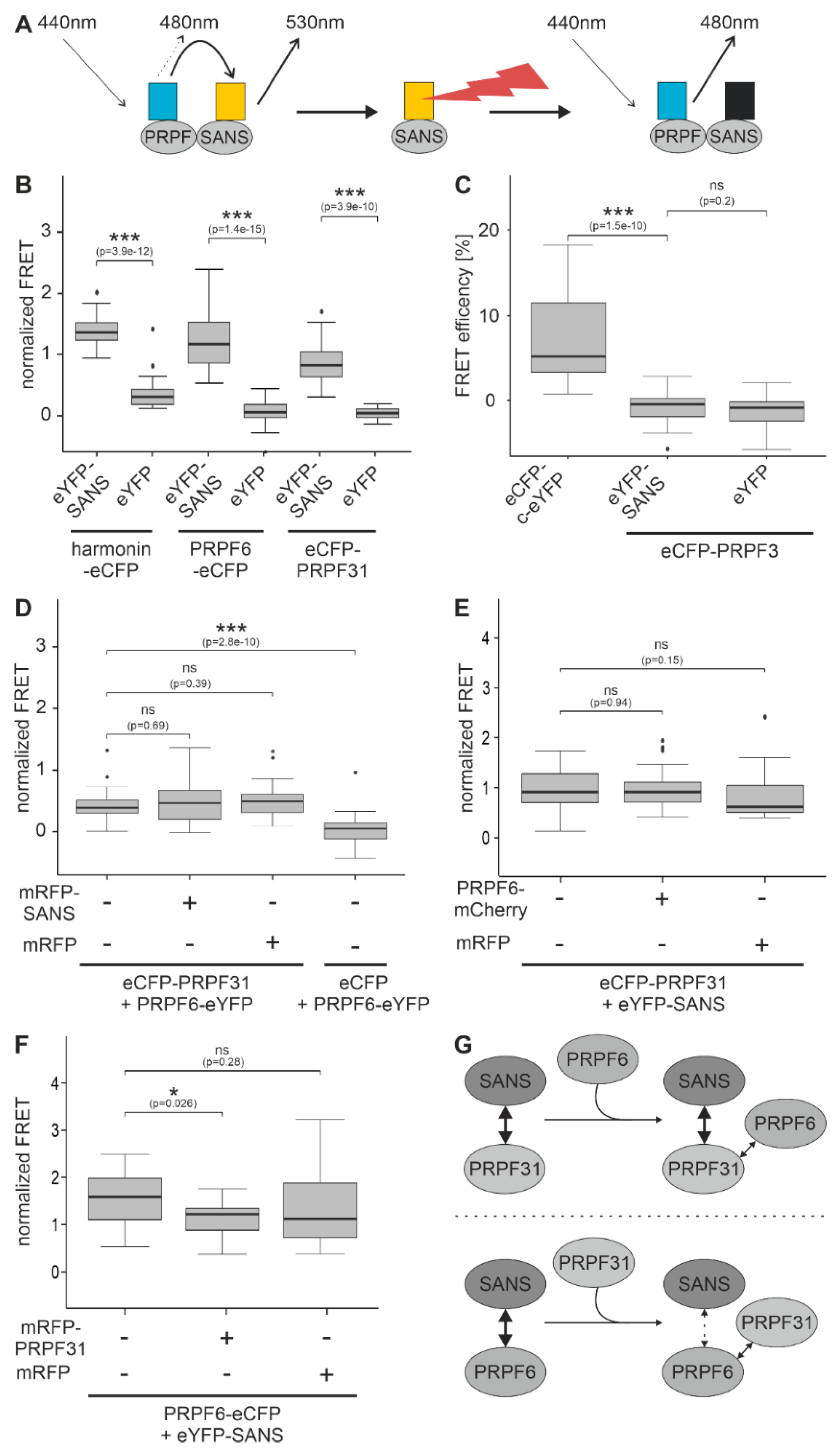 Preprints 90015 g003