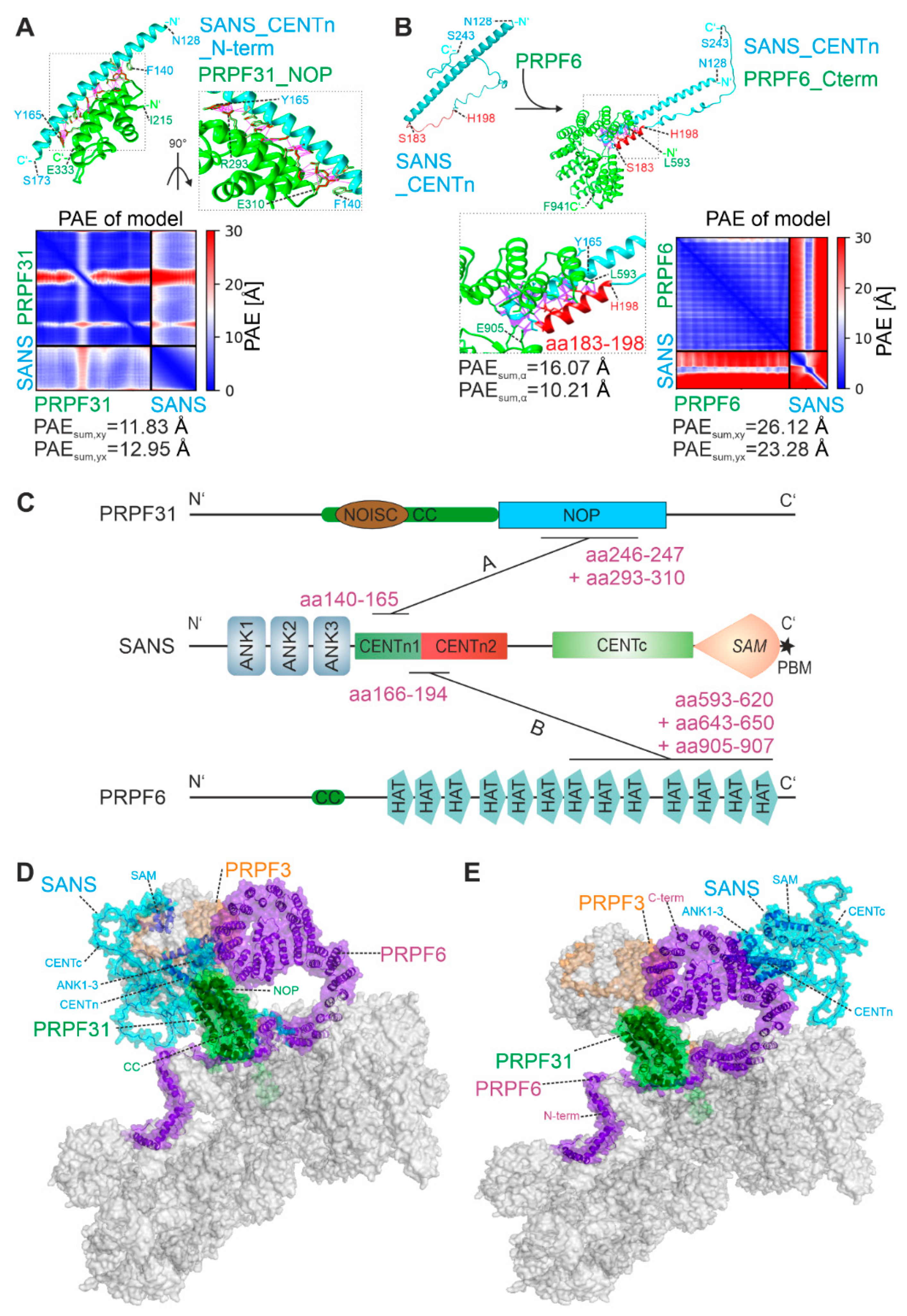 Preprints 90015 g004