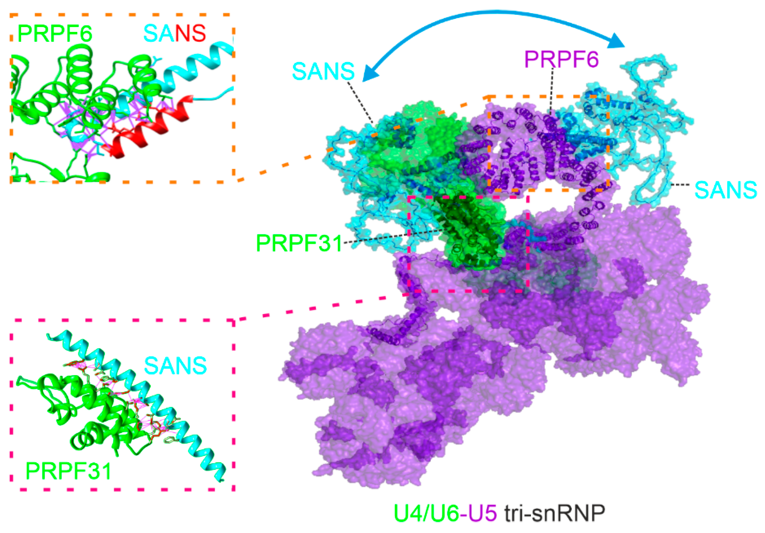 Preprints 90015 g007