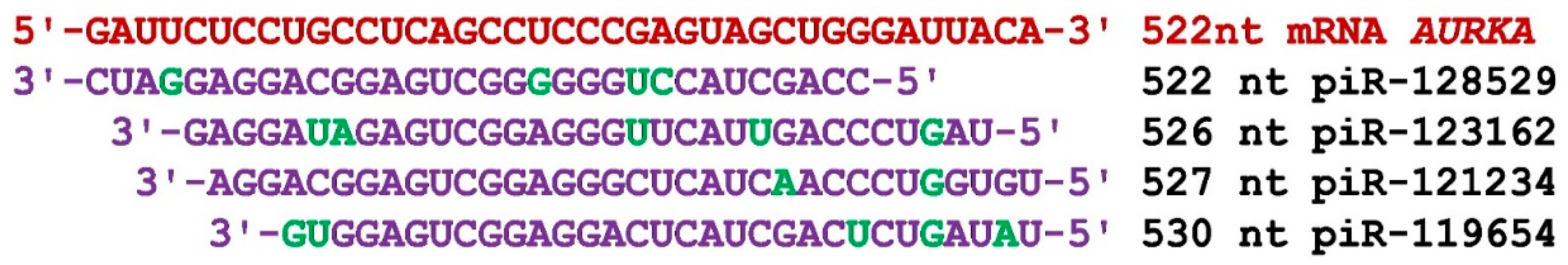 Preprints 73546 g001